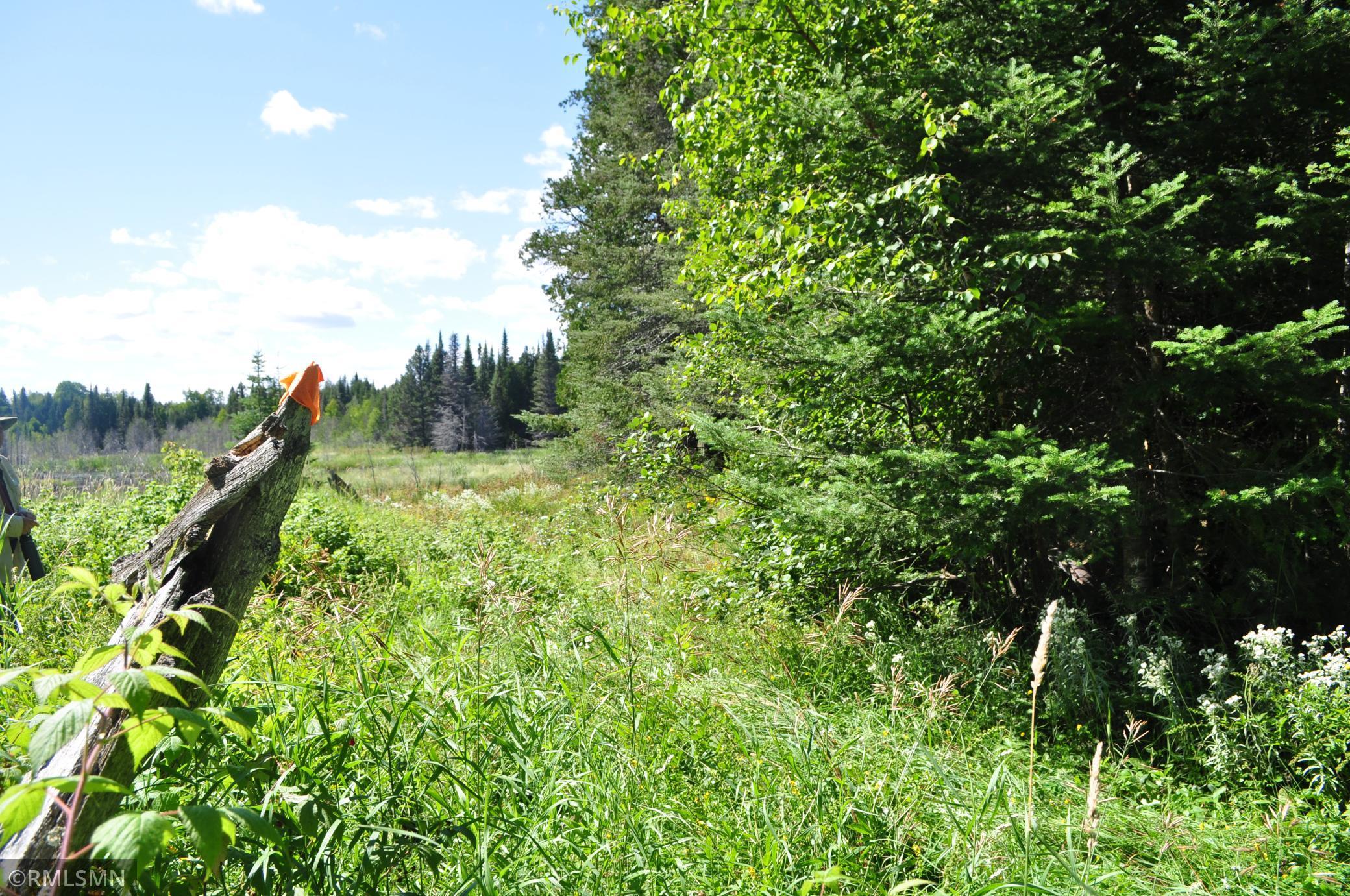 3228 Gods Wilderness Road, Silver Bay, Minnesota image 7