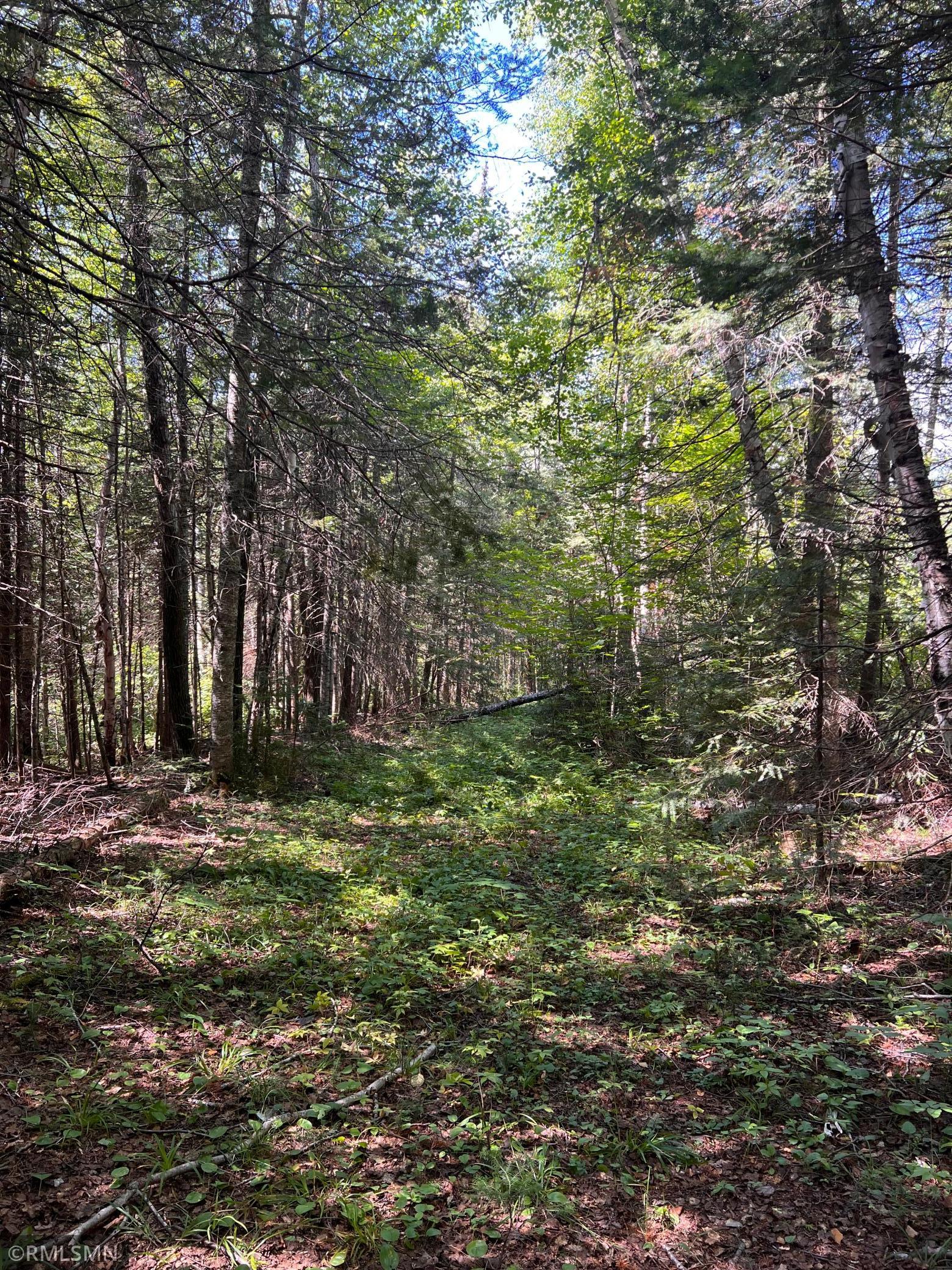 3228 Gods Wilderness Road, Silver Bay, Minnesota image 10
