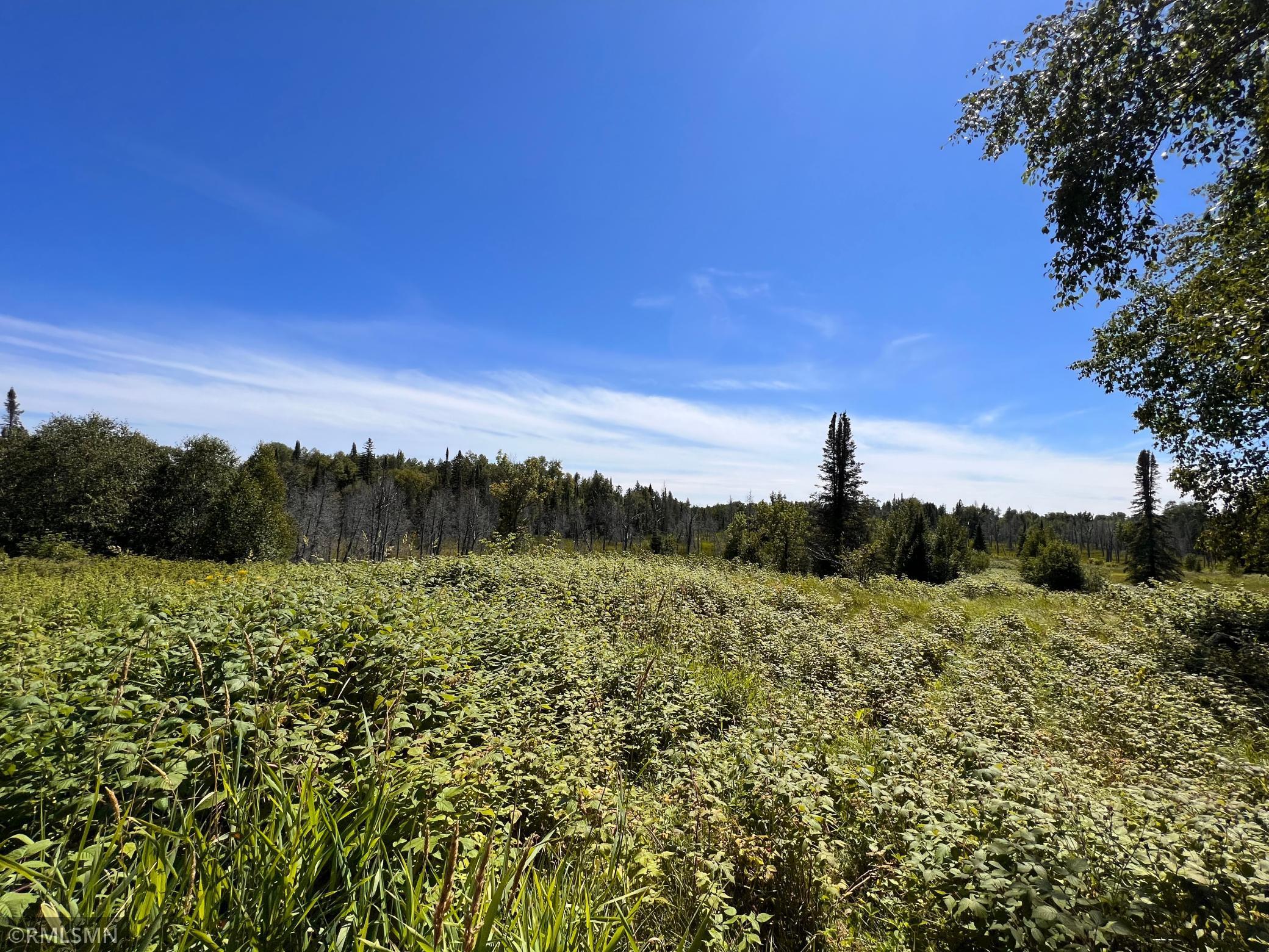 3228 Gods Wilderness Road, Silver Bay, Minnesota image 1