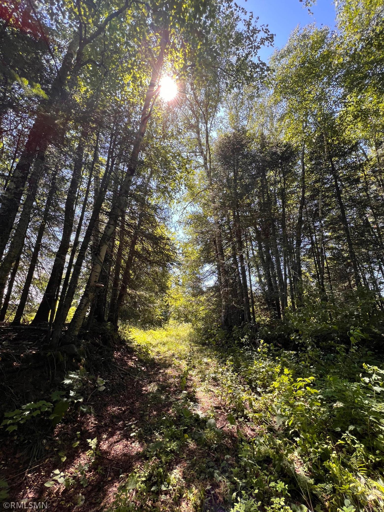 3228 Gods Wilderness Road, Silver Bay, Minnesota image 9