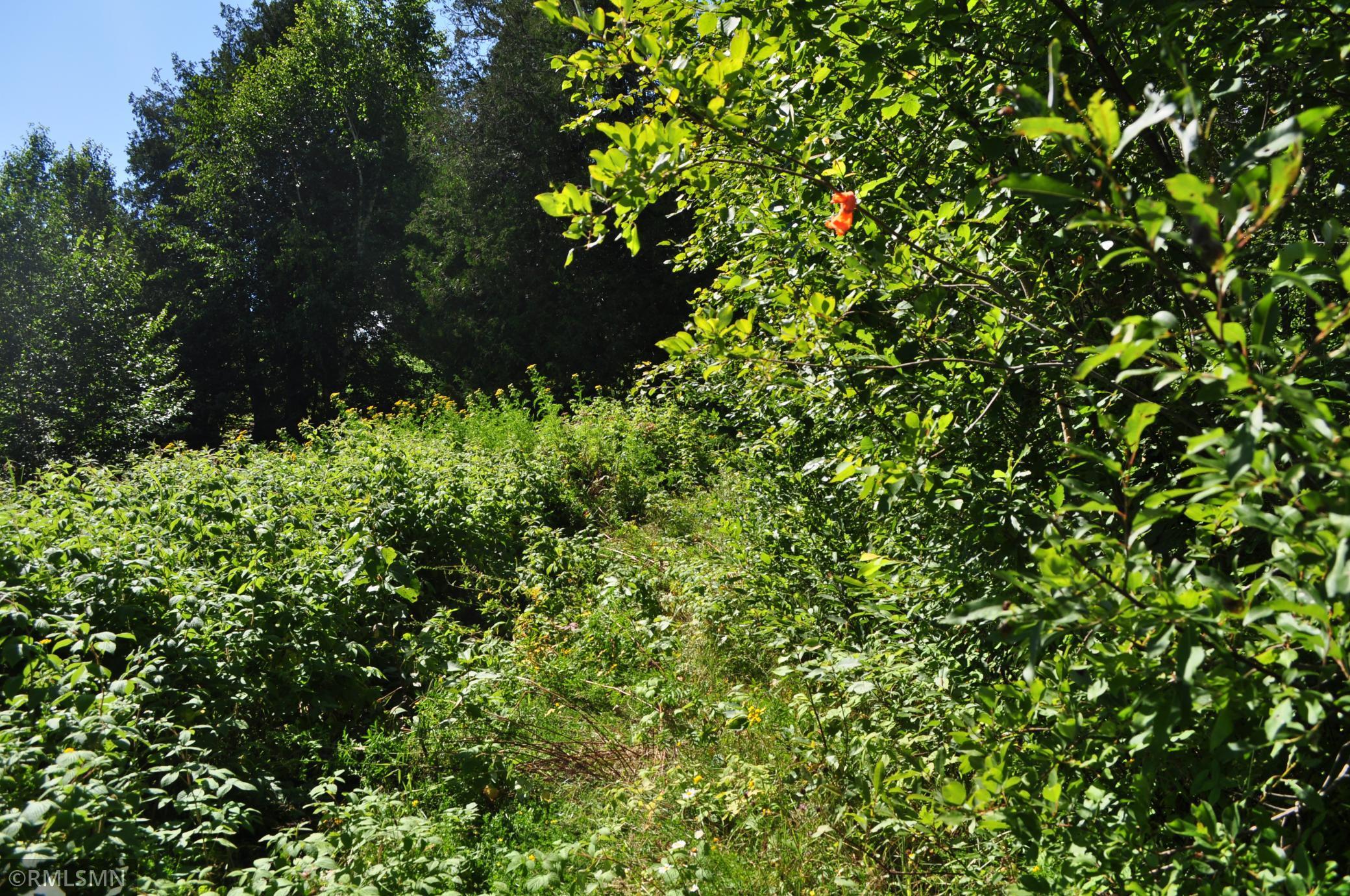 3228 Gods Wilderness Road, Silver Bay, Minnesota image 8