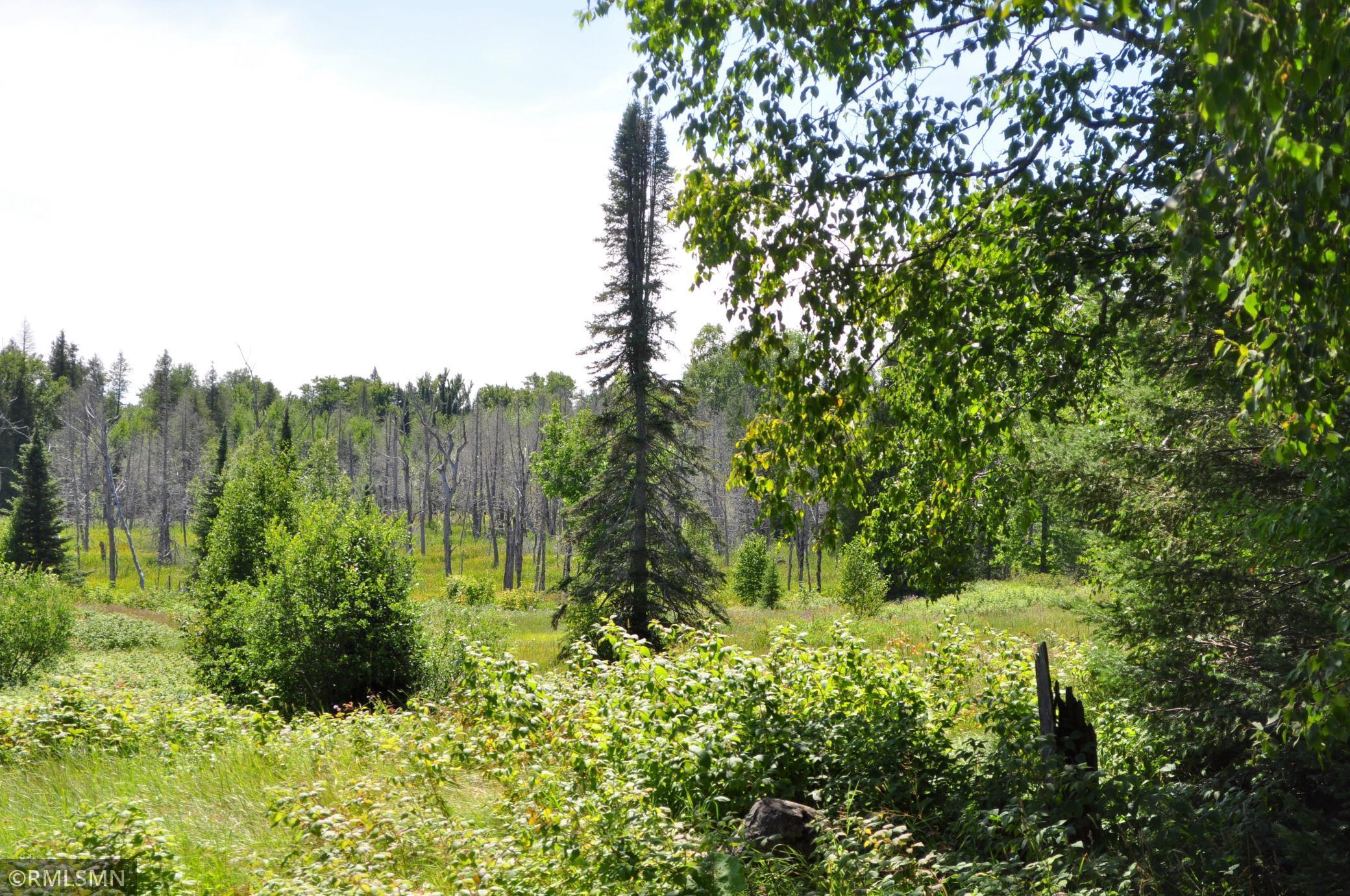 3228 Gods Wilderness Road, Silver Bay, Minnesota image 5