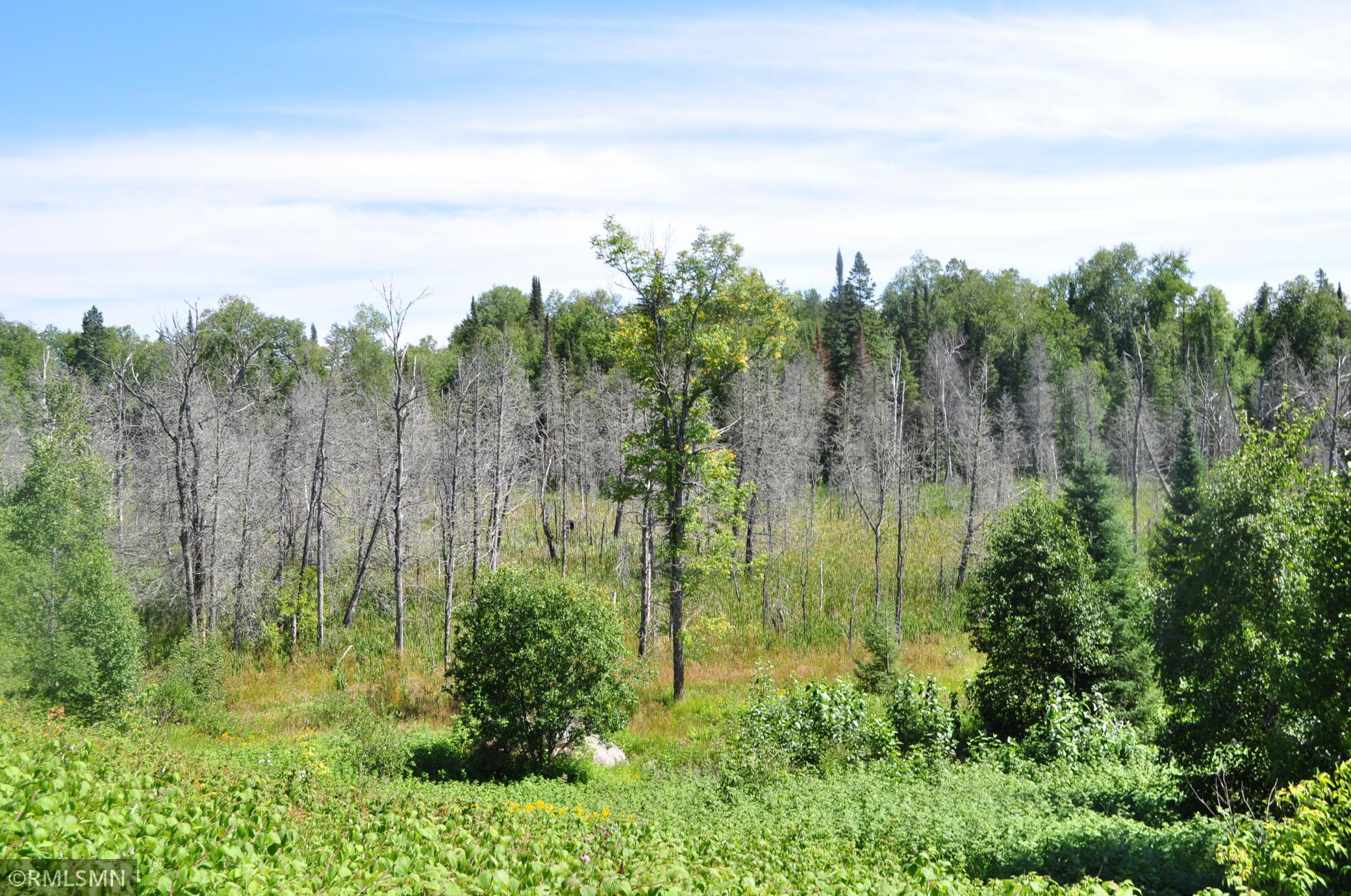 3228 Gods Wilderness Road, Silver Bay, Minnesota image 6
