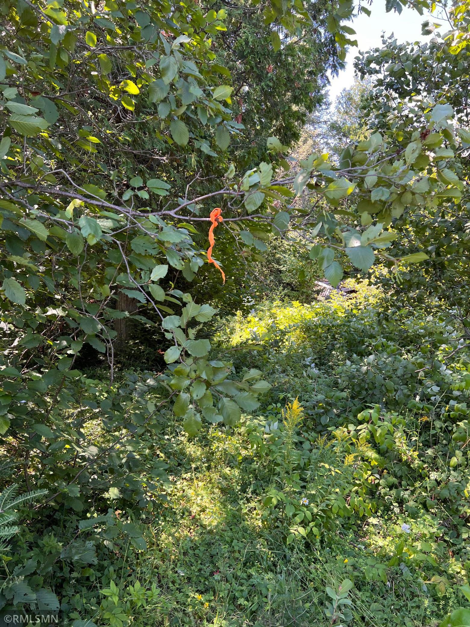 3228 Gods Wilderness Road, Silver Bay, Minnesota image 12