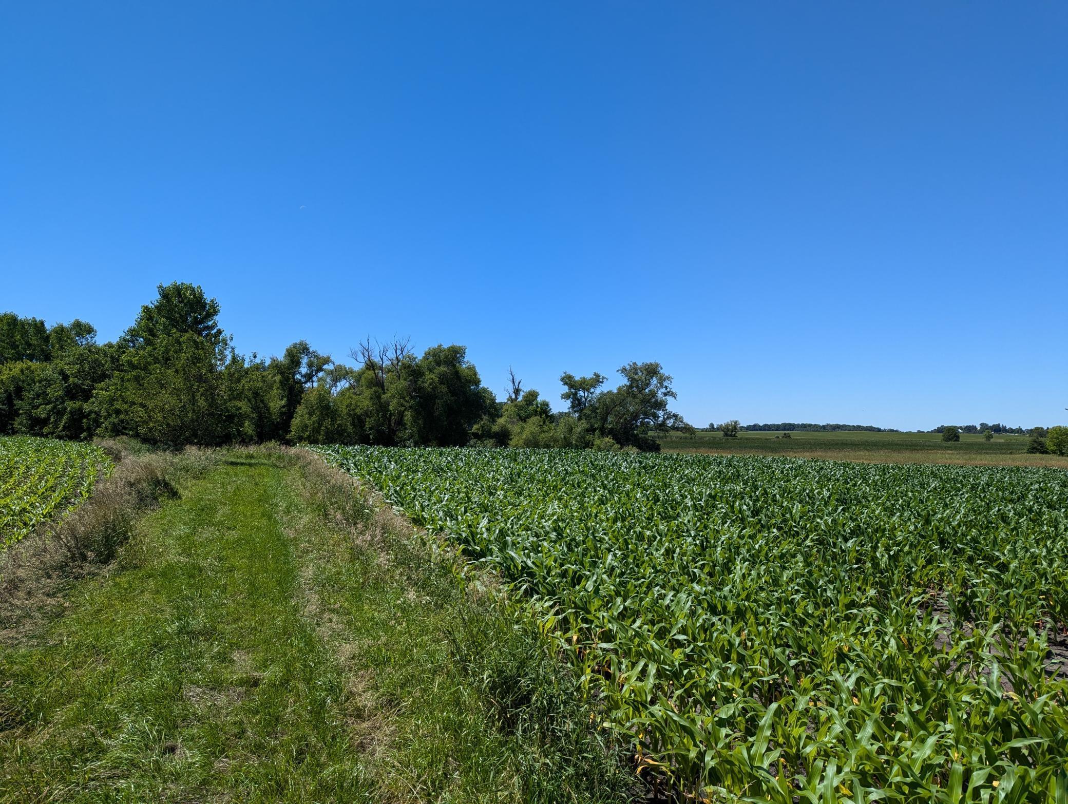 MN-25 25, Mayer, Minnesota image 8