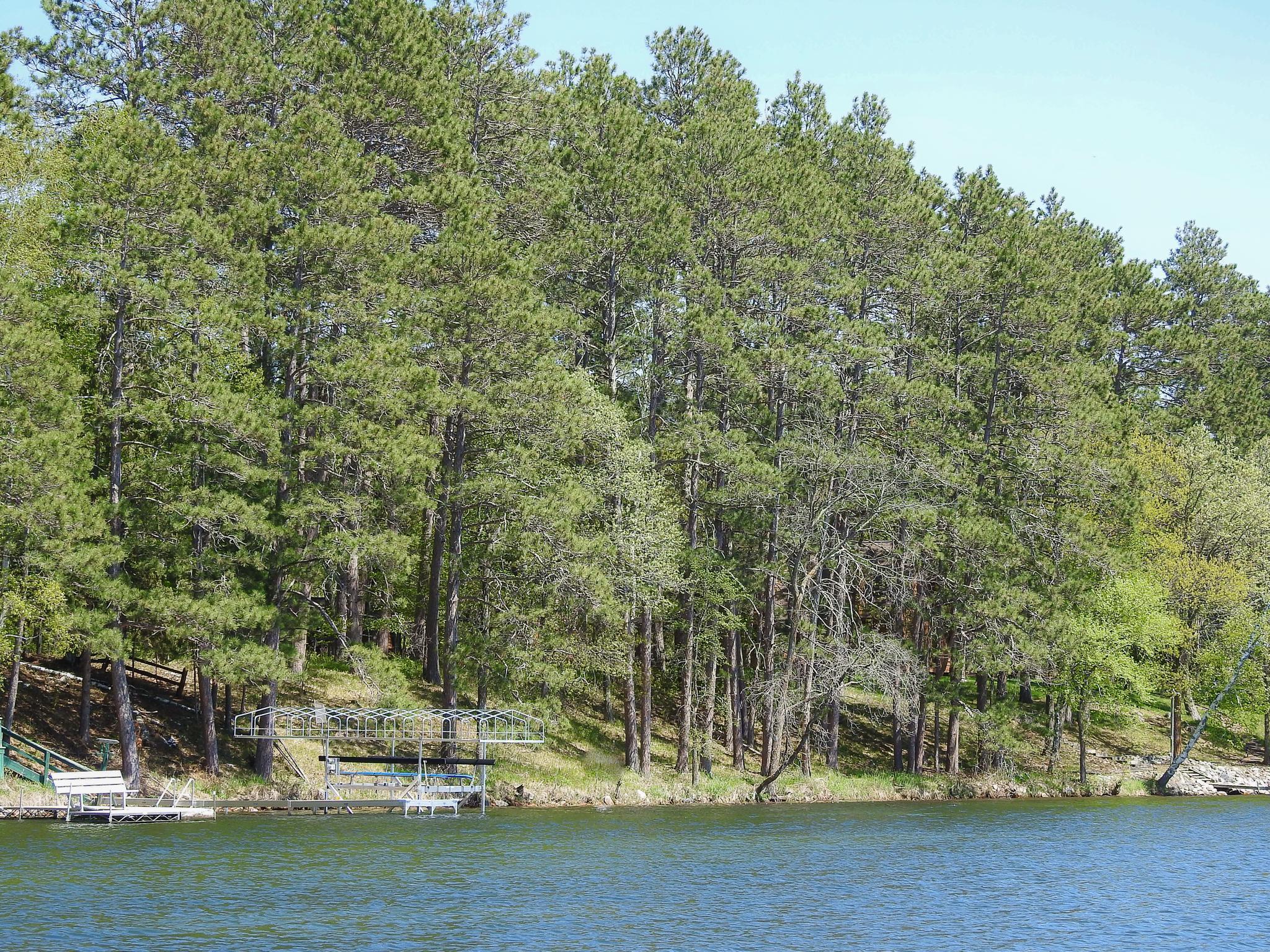 TBD Broadwater Lane, Longville, Minnesota image 19