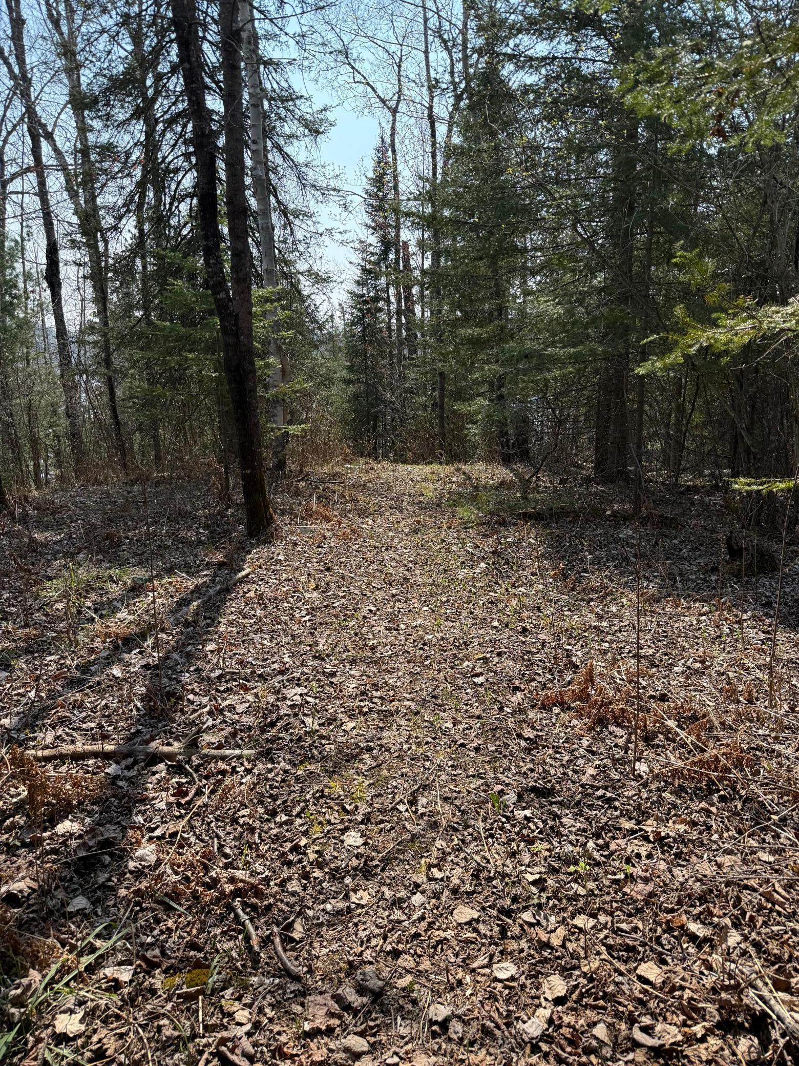 6041 Voyageurs Trail, Biwabik, Minnesota image 10