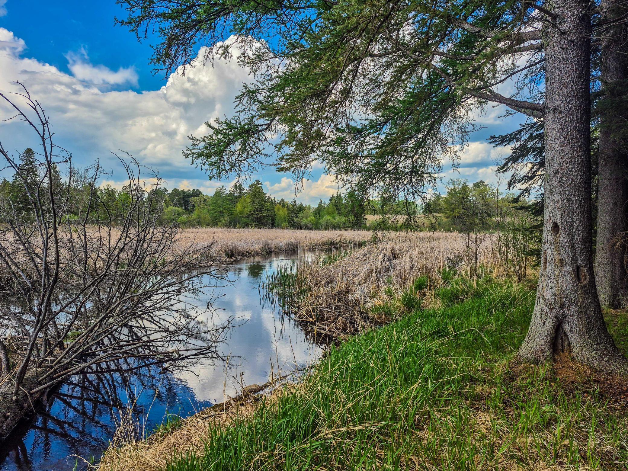 11684 150th Street, Park Rapids, Minnesota image 10