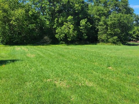 Vacant Land For Sale - TBD Cedar Street<br/> Faribault County, Easton, MN 56025