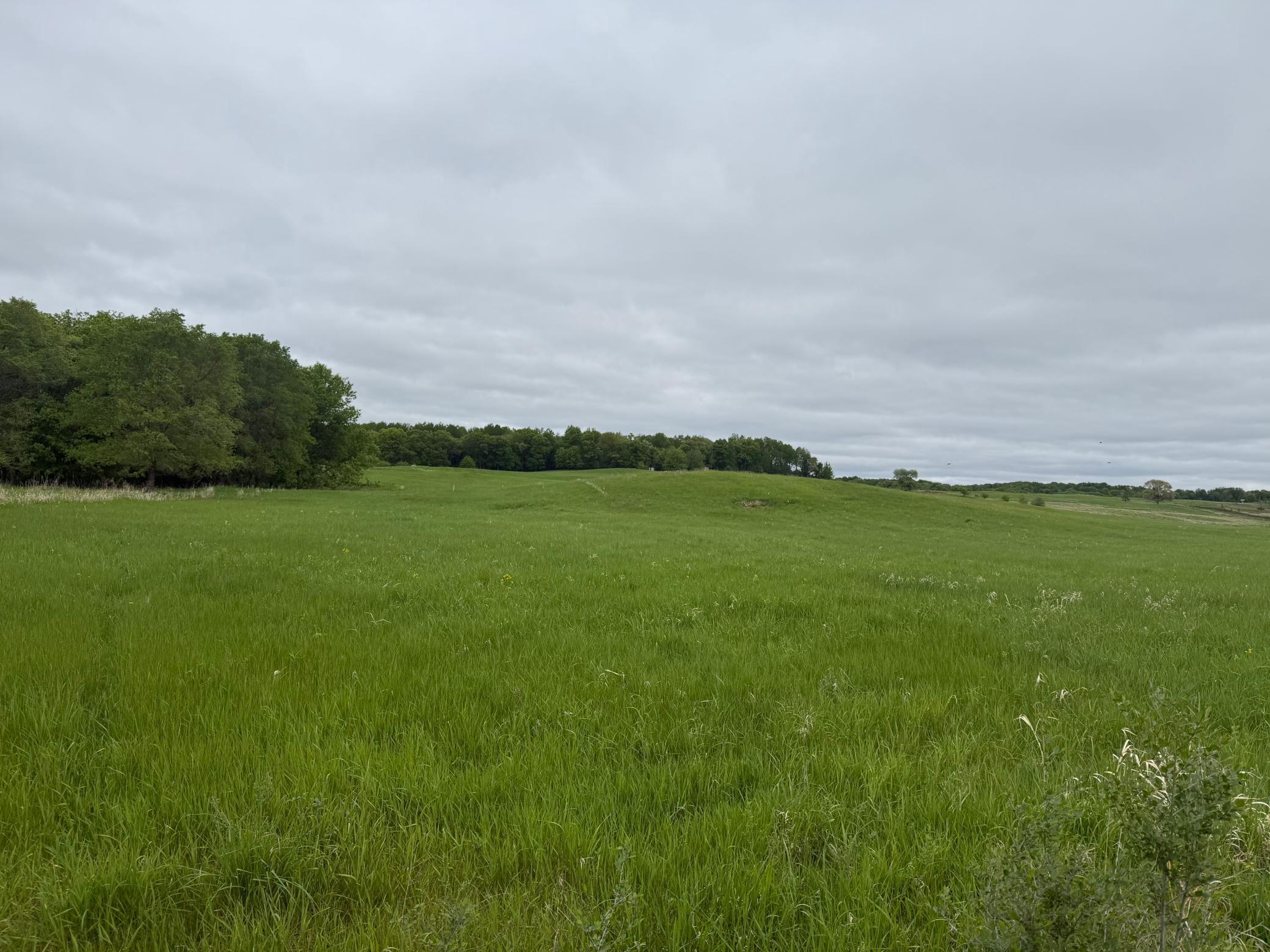 1481 25th Ave, Amery, Wisconsin image 6
