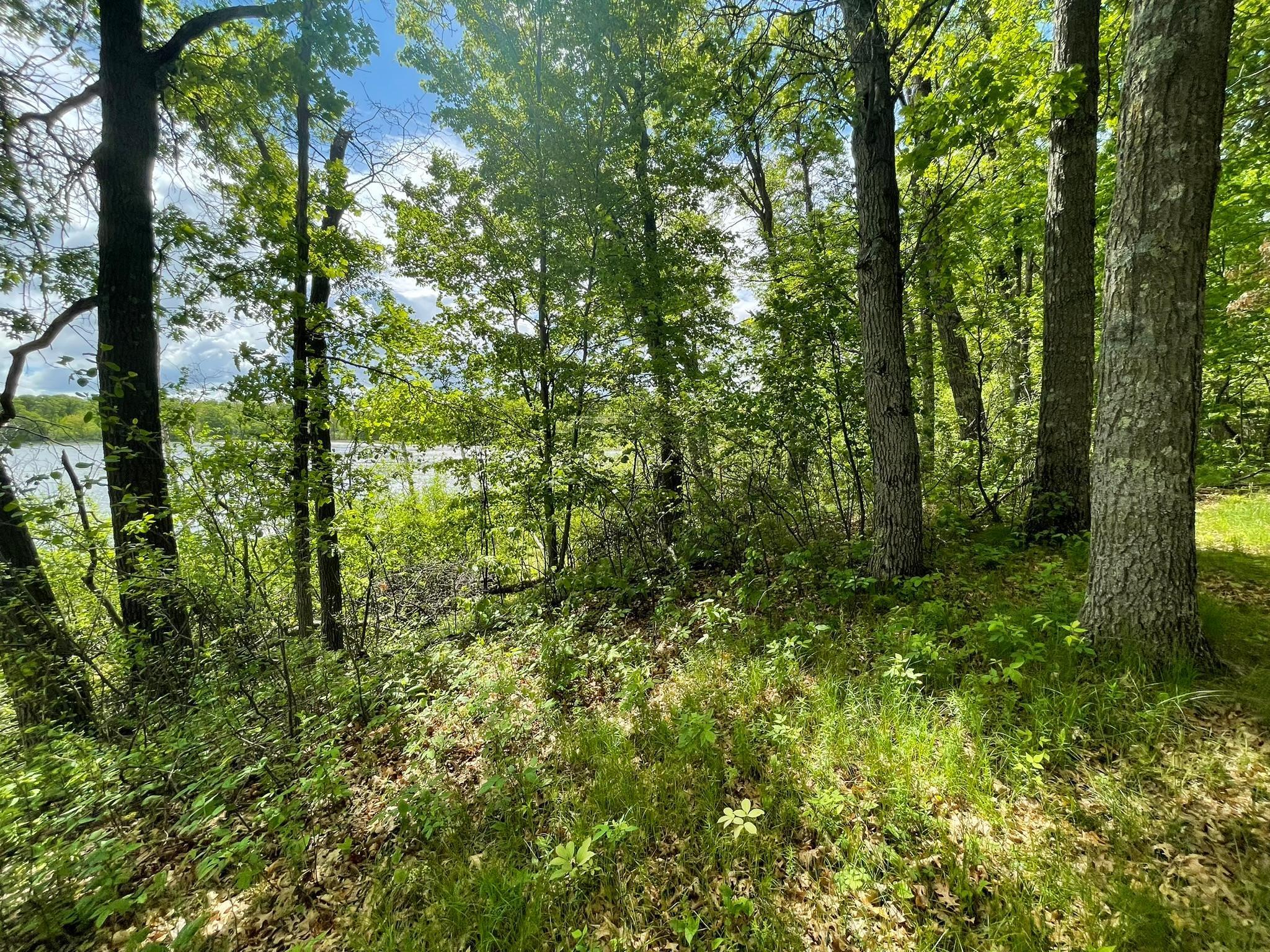 19080 Love Lake Road, Brainerd, Minnesota image 15