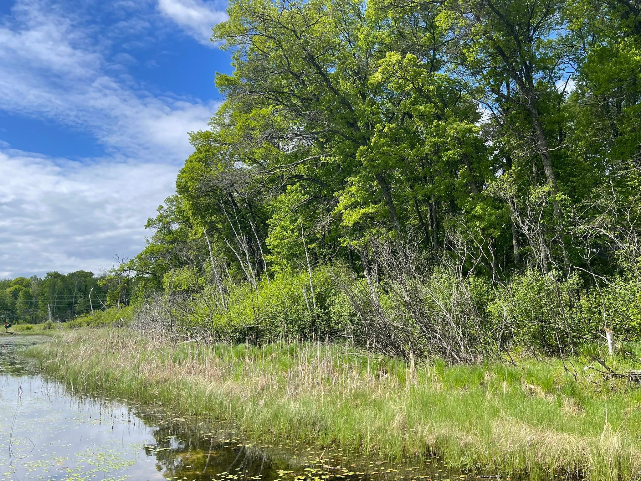 19080 Love Lake Road, Brainerd, Minnesota image 16