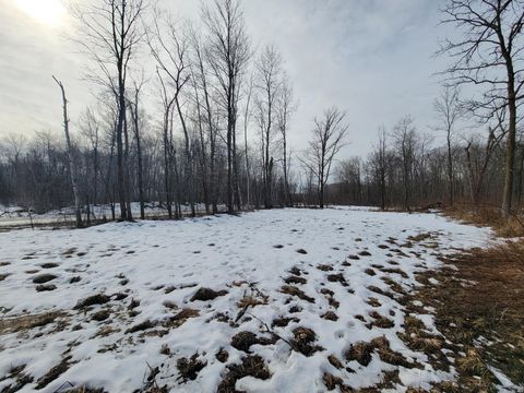 Vacant Land For Sale - XXXX Black Bear Drive<br/> Motley, MN 56466