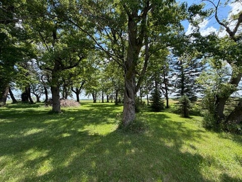 Vacant Land For Sale - 24907 County Road 6<br/> Westbrook, MN 56183