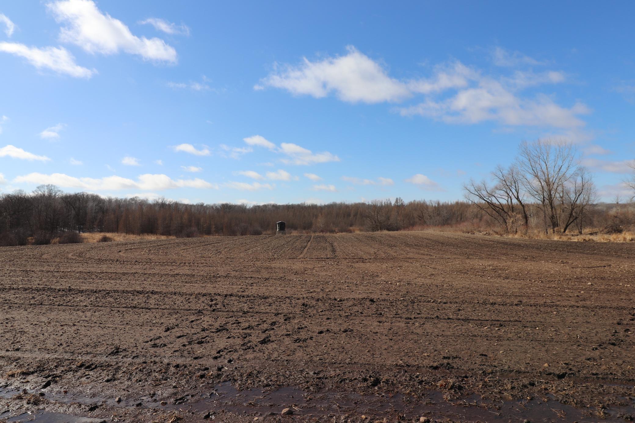 24993 Cedar Lake Road, Sauk Centre, Minnesota image 3