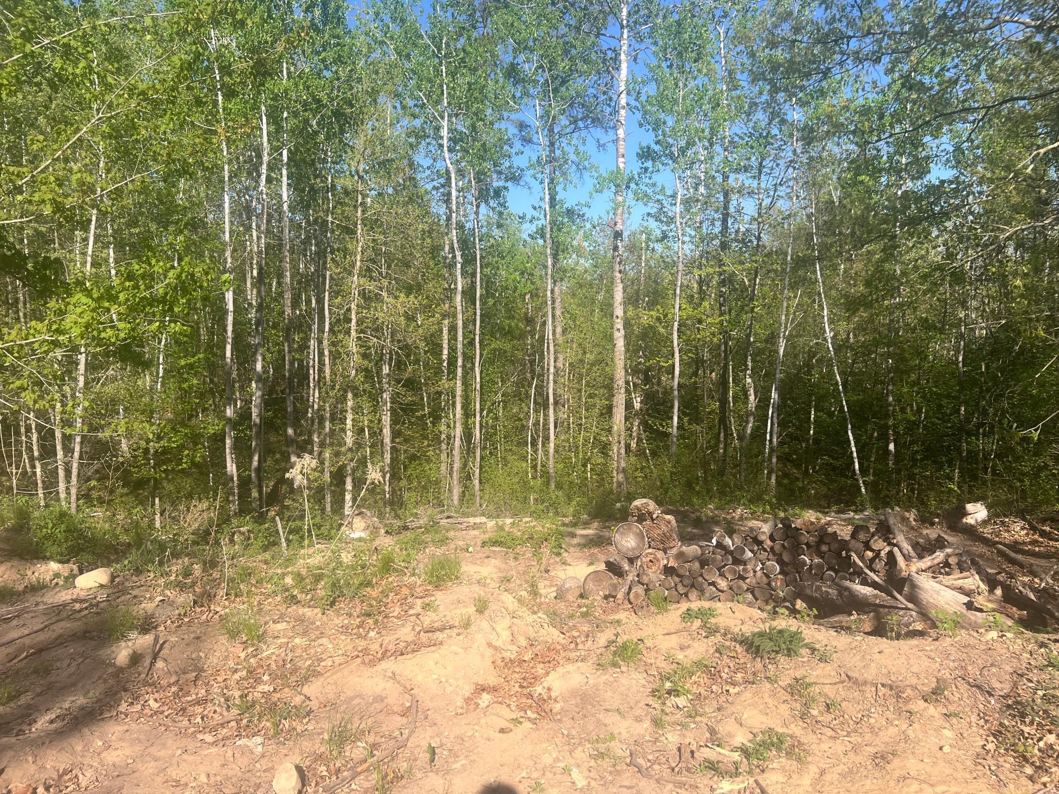 7773 White Overlook Drive, Pequot Lakes, Minnesota image 6