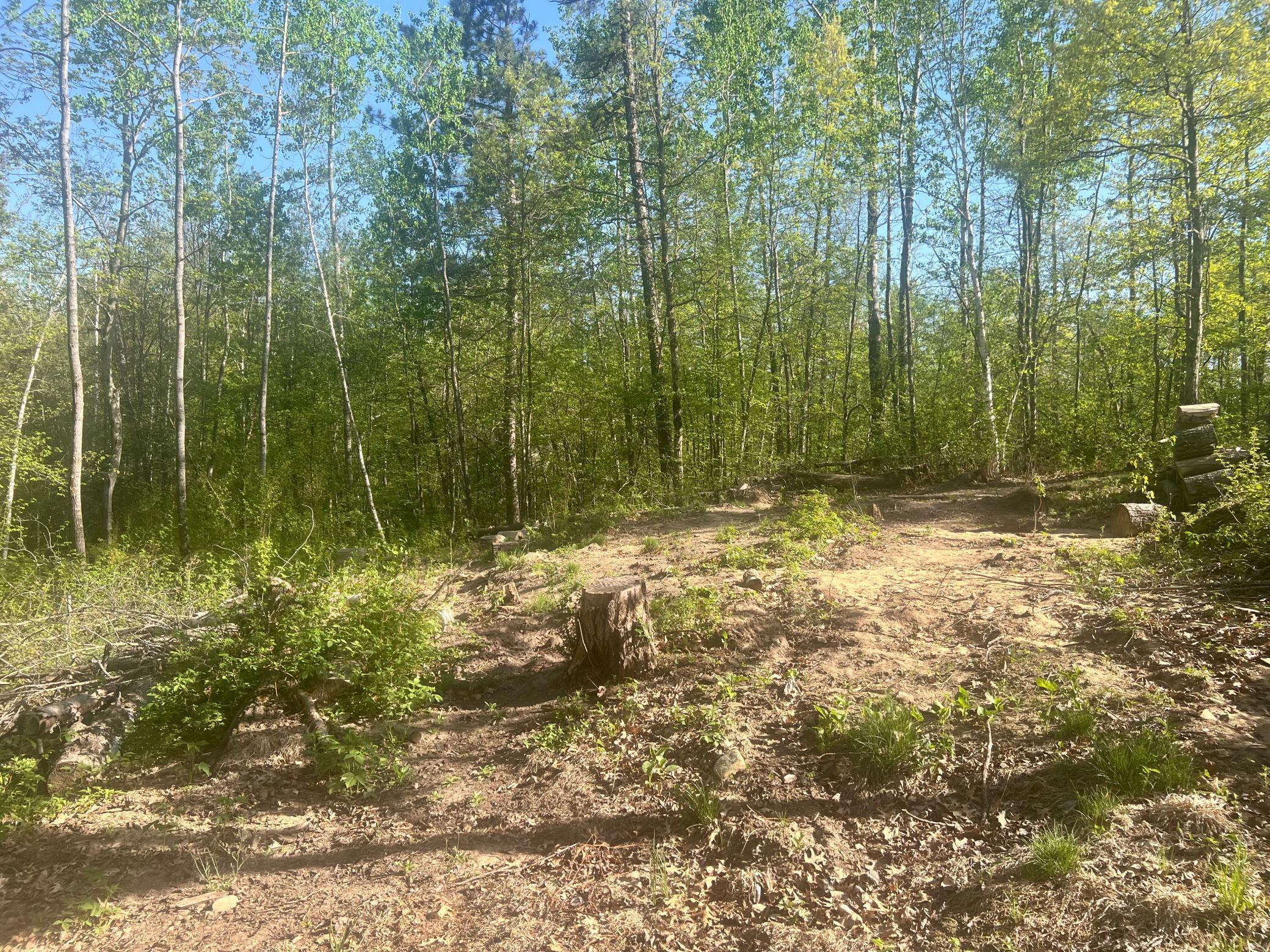 7773 White Overlook Drive, Pequot Lakes, Minnesota image 4