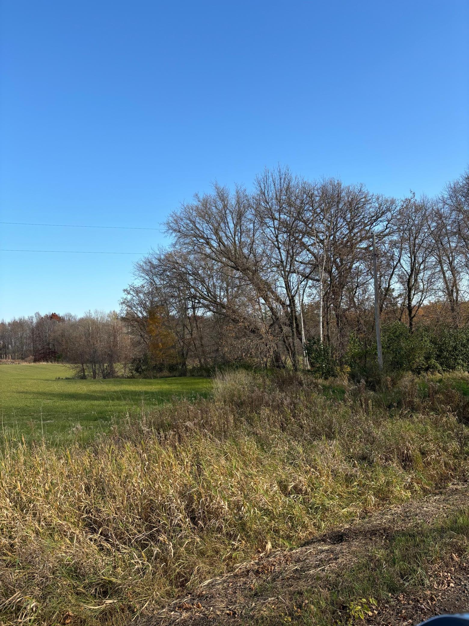 380xx Variolite Street, Dalbo, Minnesota image 3