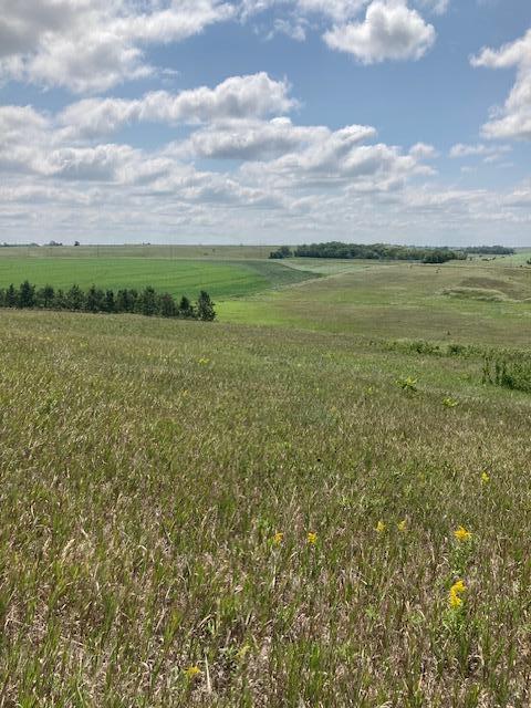 XXX County Road 8, Glenwood, Minnesota image 10