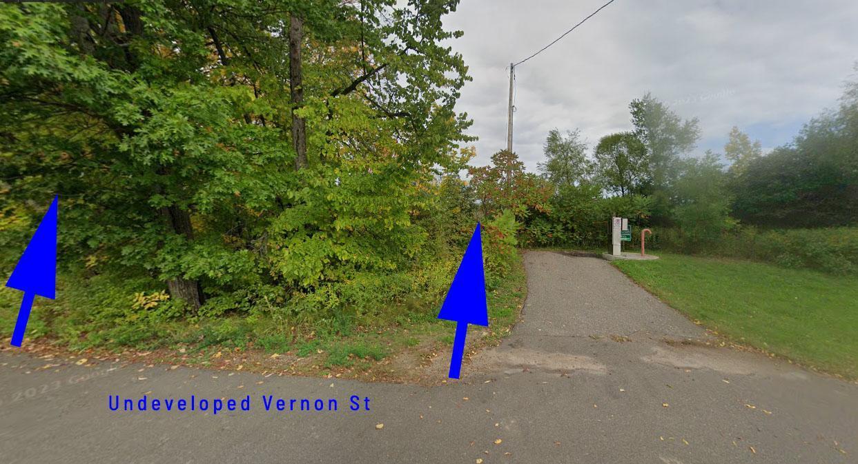 GovLot2 Vernon Street, Garrison, Minnesota image 3