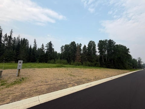 Vacant Land For Sale - LOT 3 BLOCK 2 Eldien Dr<br/> Cook, MN 55723