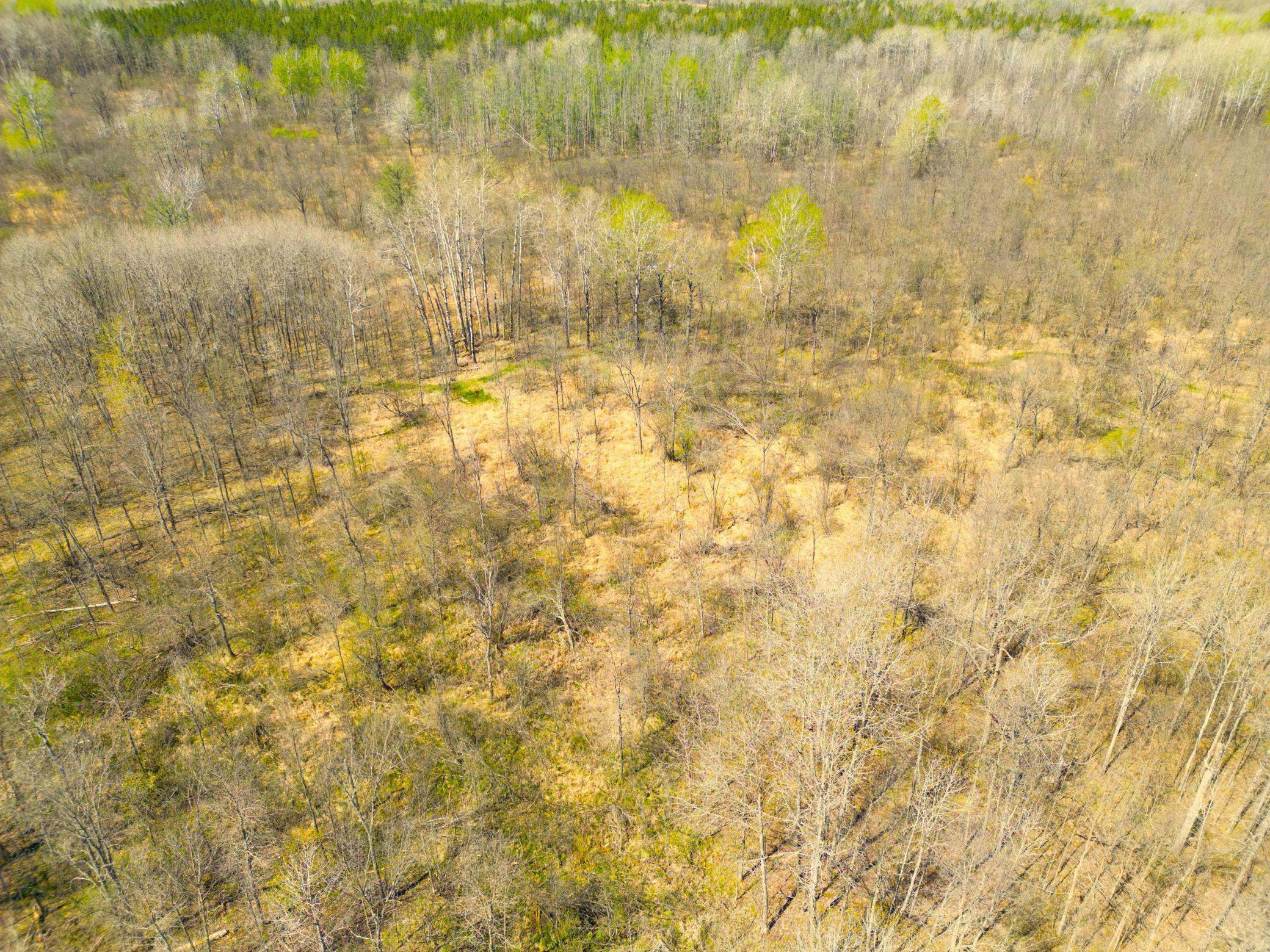 XXX 600th Street, Mcgregor, Minnesota image 39