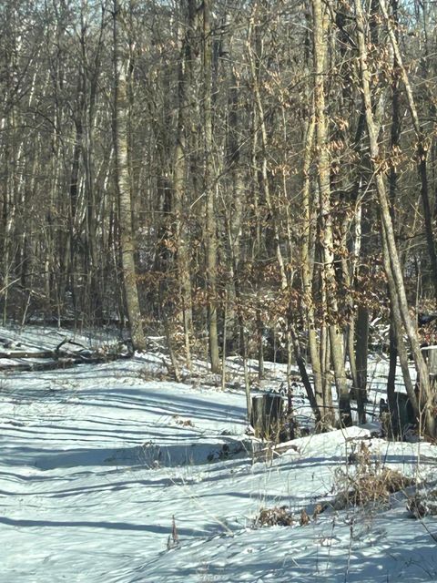 Vacant Land For Sale - XXX Birchcurve Road<br/> Randall, MN 56475