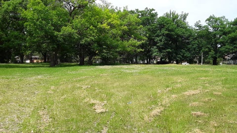 Vacant Land For Sale - 34X 3rd Avenue<br/> Forest Lake, MN 55025