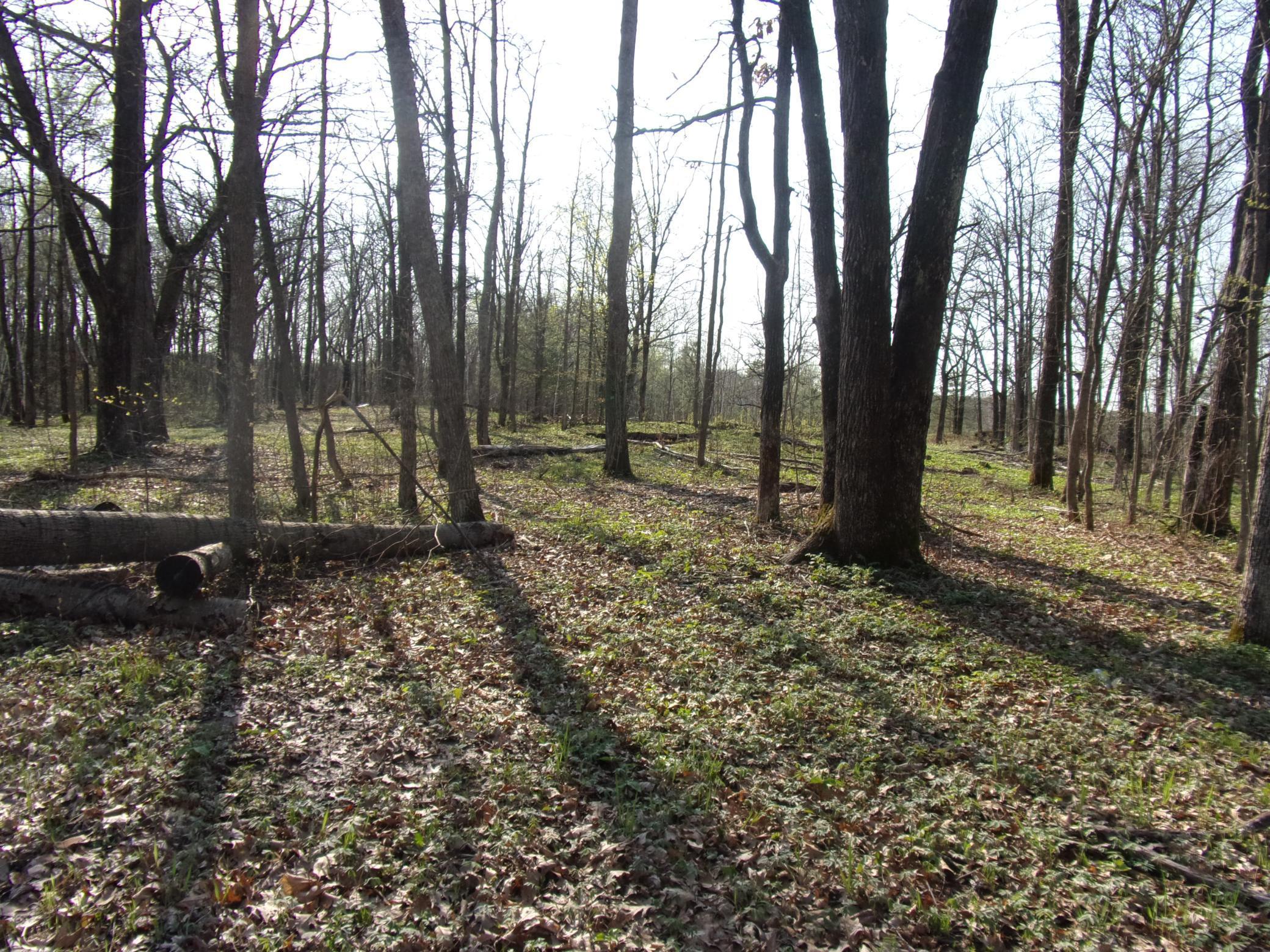Lot 1 N Lake Drive, Mora, Minnesota image 1