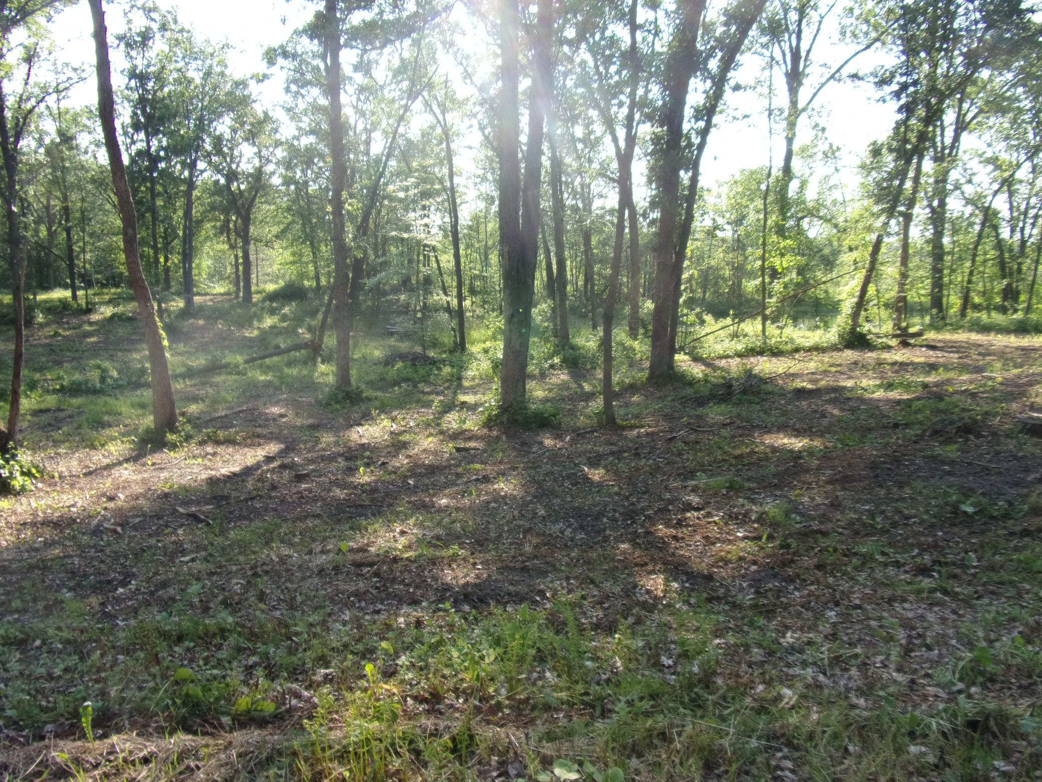 Lot 1 N Lake Drive, Mora, Minnesota image 2
