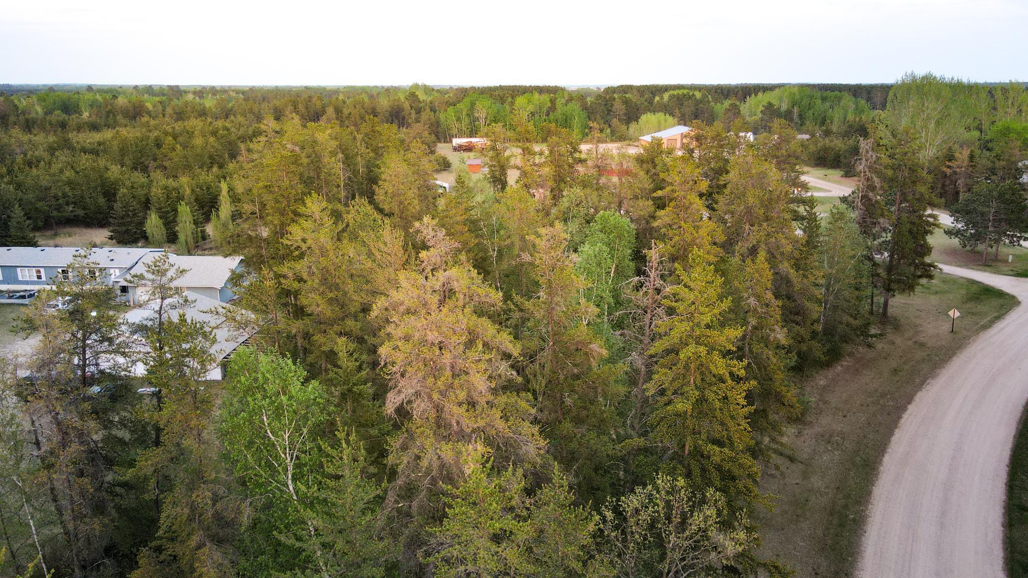 TBD1 Birdsview Lane, Bemidji, Minnesota image 2