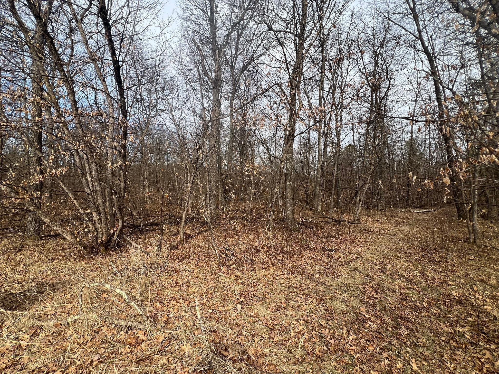 Lot 10Blk 1 Vista Oaks Drive, Pillager, Minnesota image 2