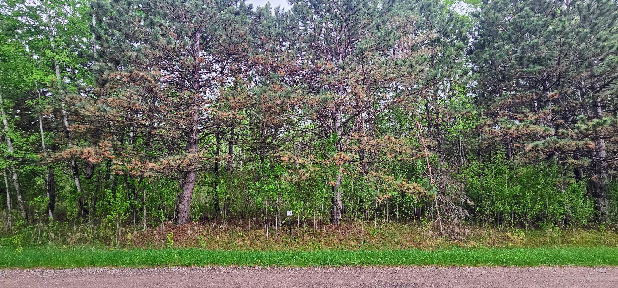 30147 Owl Avenue, Aitkin, Minnesota image 1