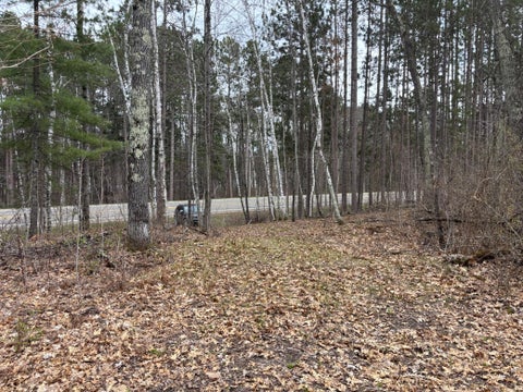 Vacant Land For Sale - 51839 Lake Avenue<br/> Aitkin County, Mcgregor, MN 55760