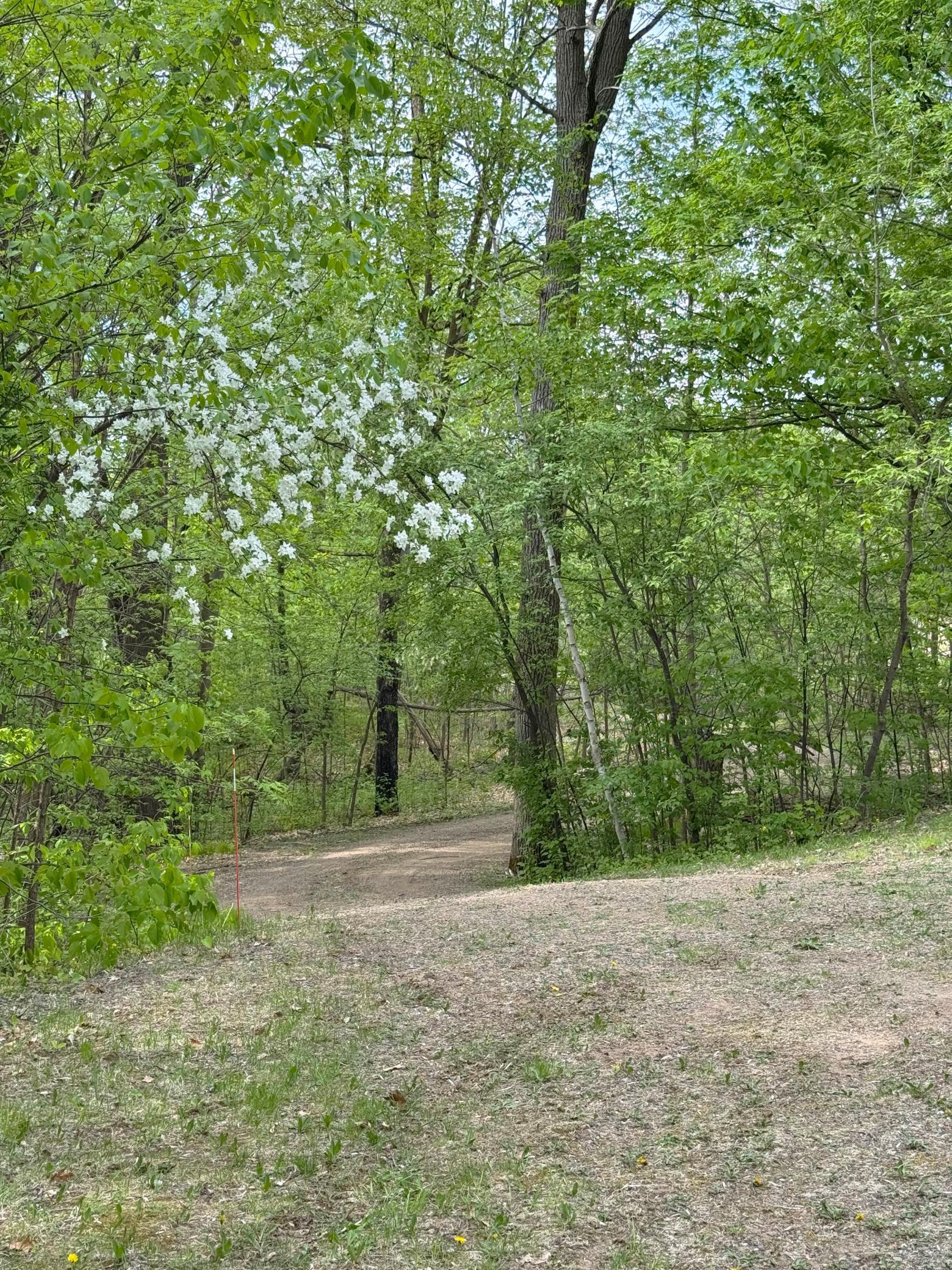 35080 440th Place, Aitkin, Minnesota image 48