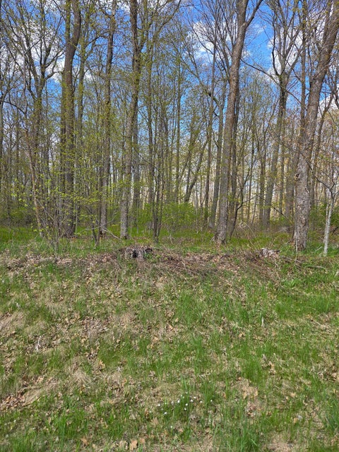 Vacant Land For Sale - TBD Nicholas St<br/> Itasca County, Grand Rapids, MN 55744