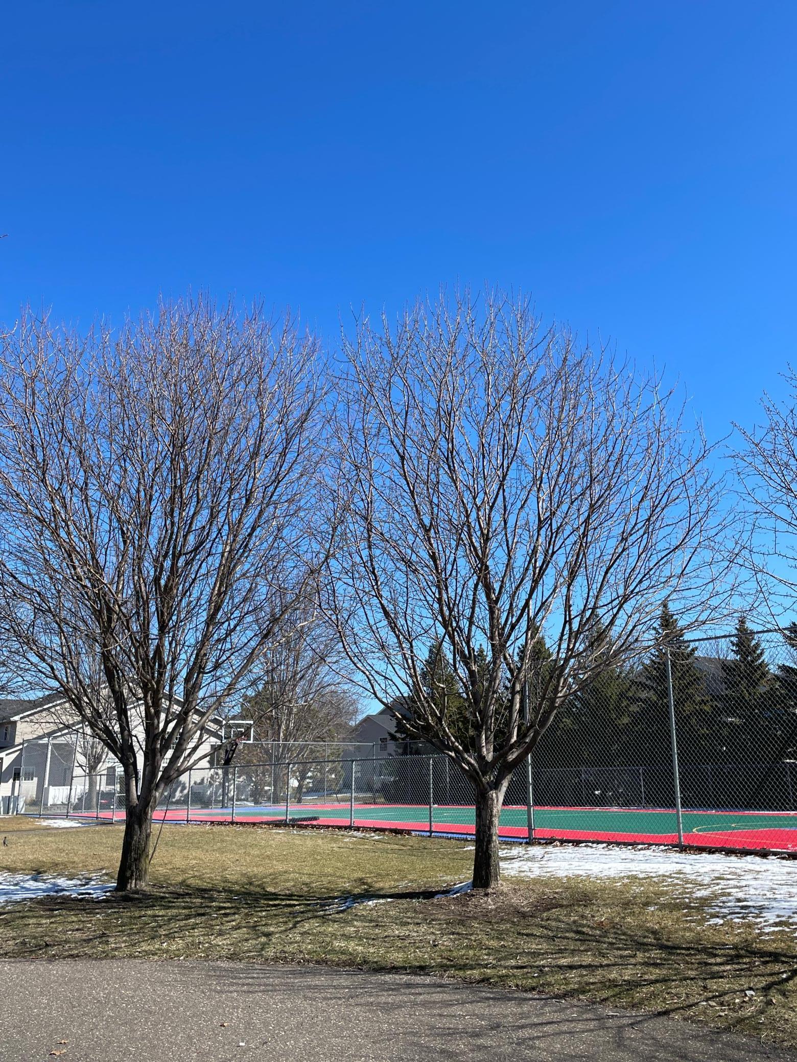 11269 16th Street, Saint Michael, Minnesota image 22