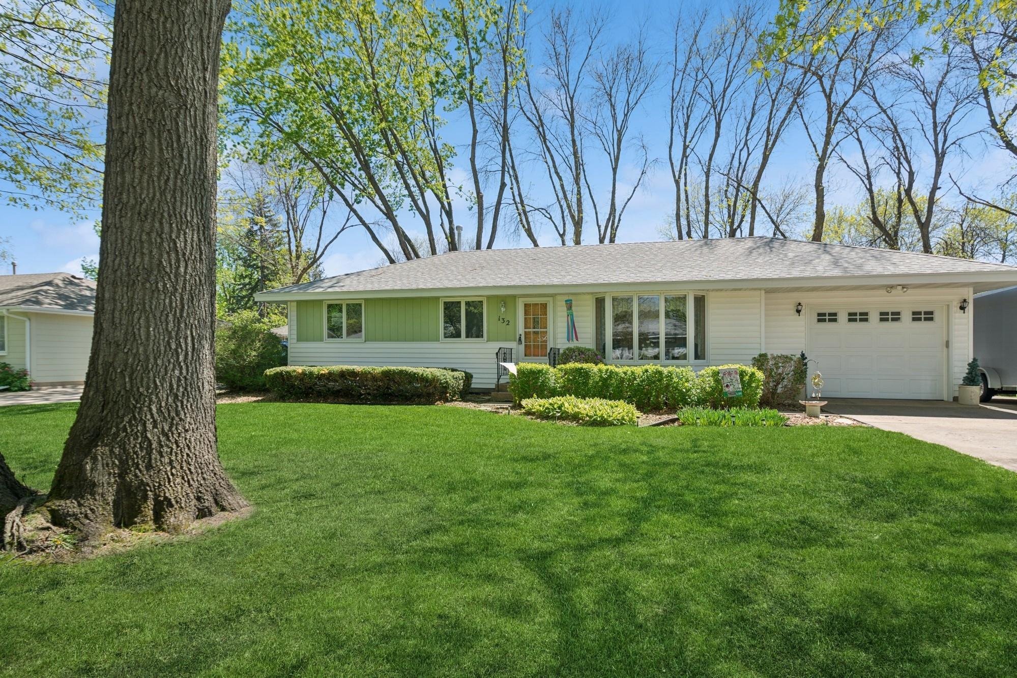 132 104th Lane, Minneapolis, Minnesota image 1