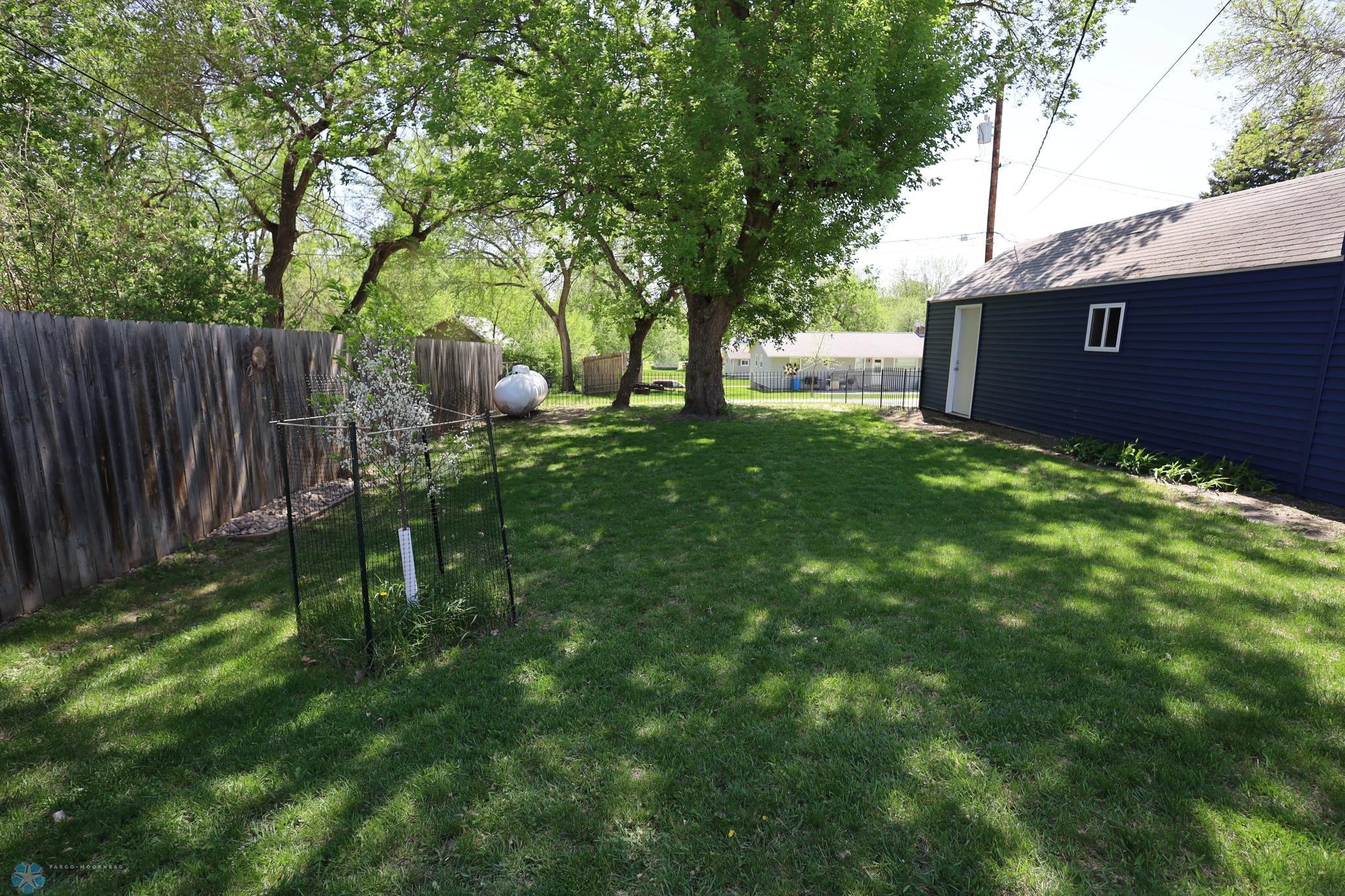 327 2nd Street, Mayville, North Dakota image 28