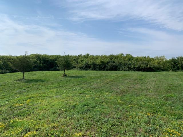2906 Serenity Lane, Rochester, Minnesota image 3