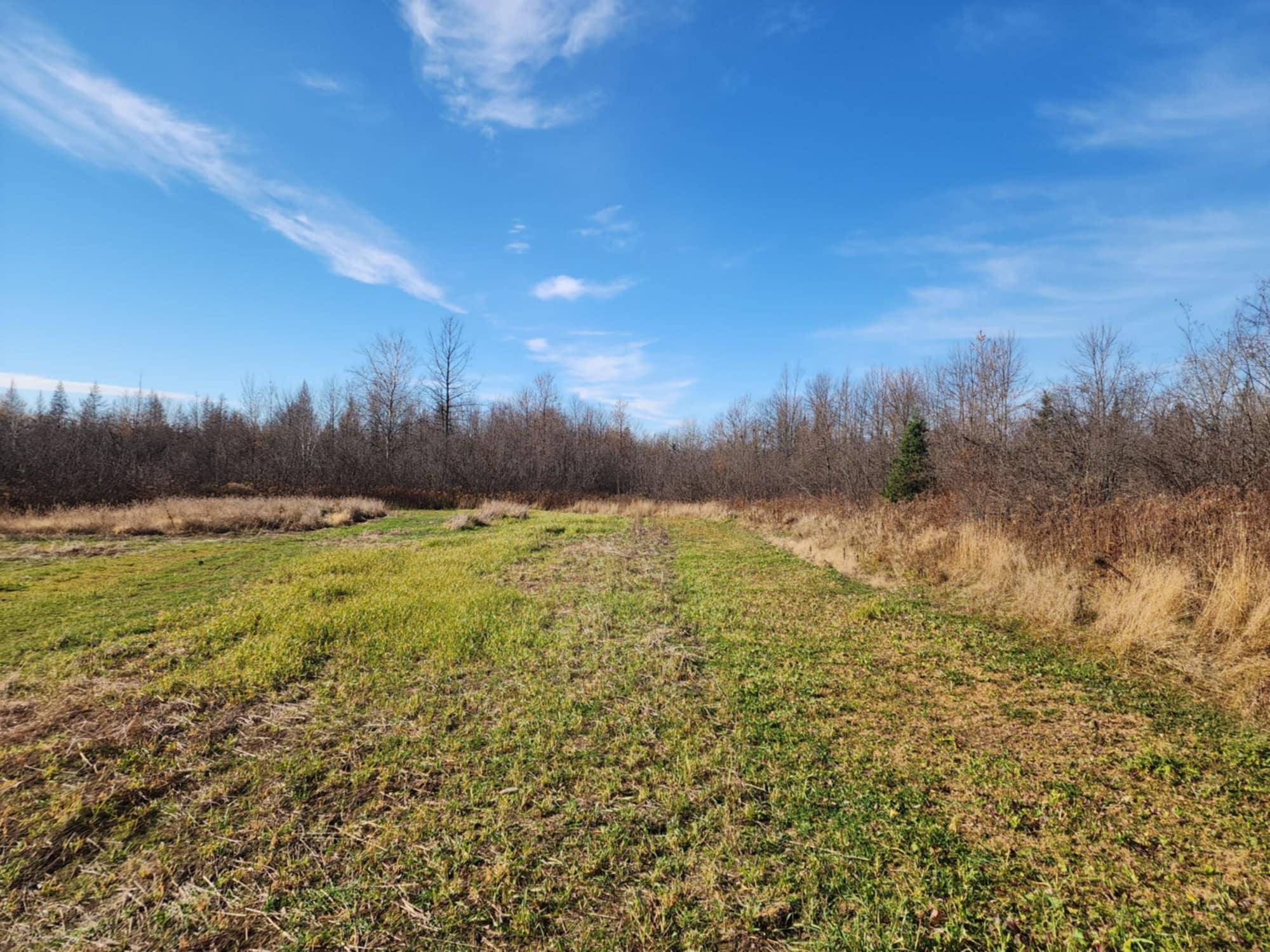 15766 320th Lane, Mcgregor, Minnesota image 1