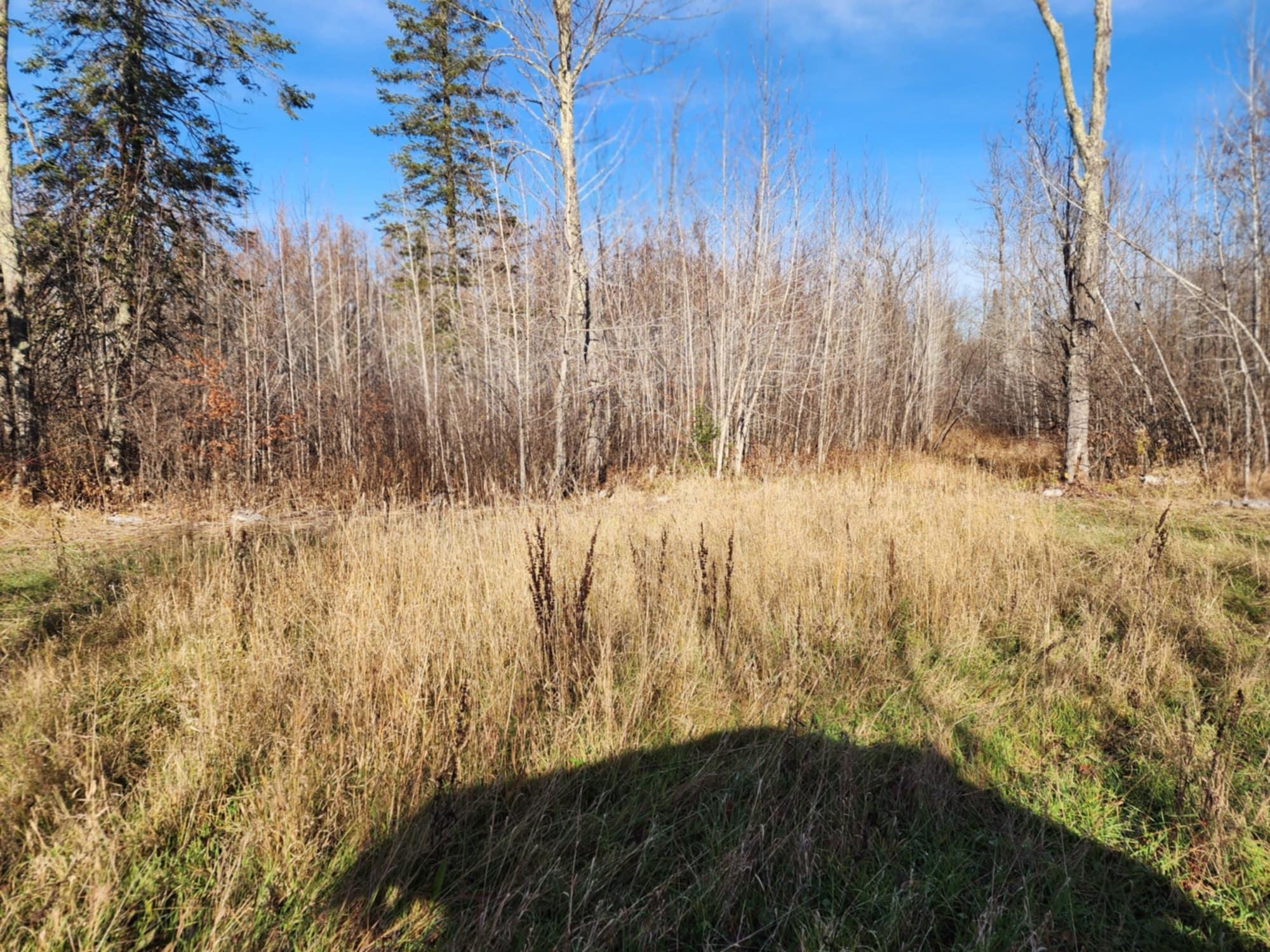 15766 320th Lane, Mcgregor, Minnesota image 7