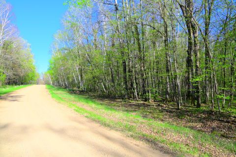 Vacant Land For Sale - 27152 Ode Circle<br/> Todd County, Browerville, MN 56438