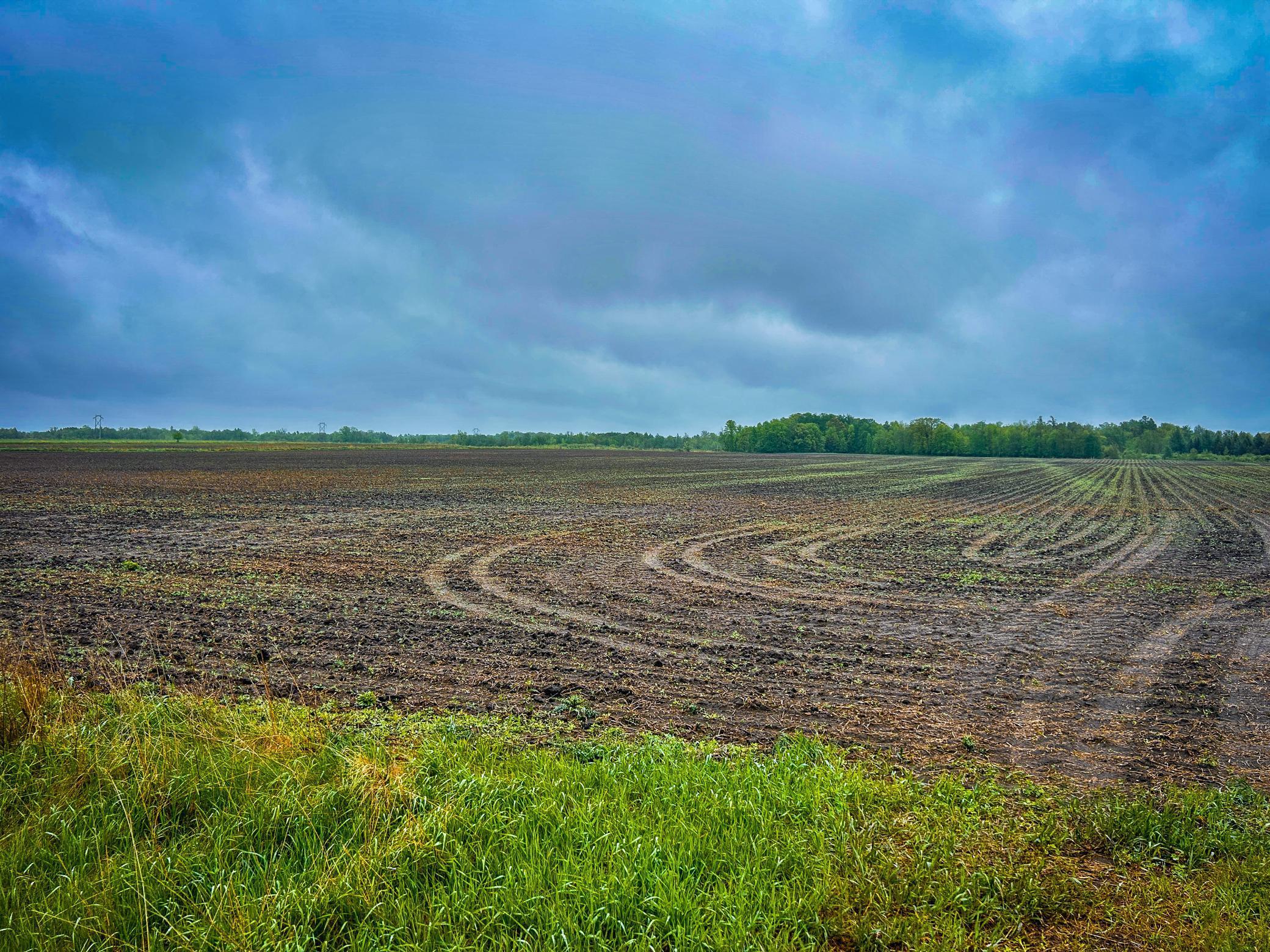 27XXX County Highway 73, Deer Creek, Minnesota image 6