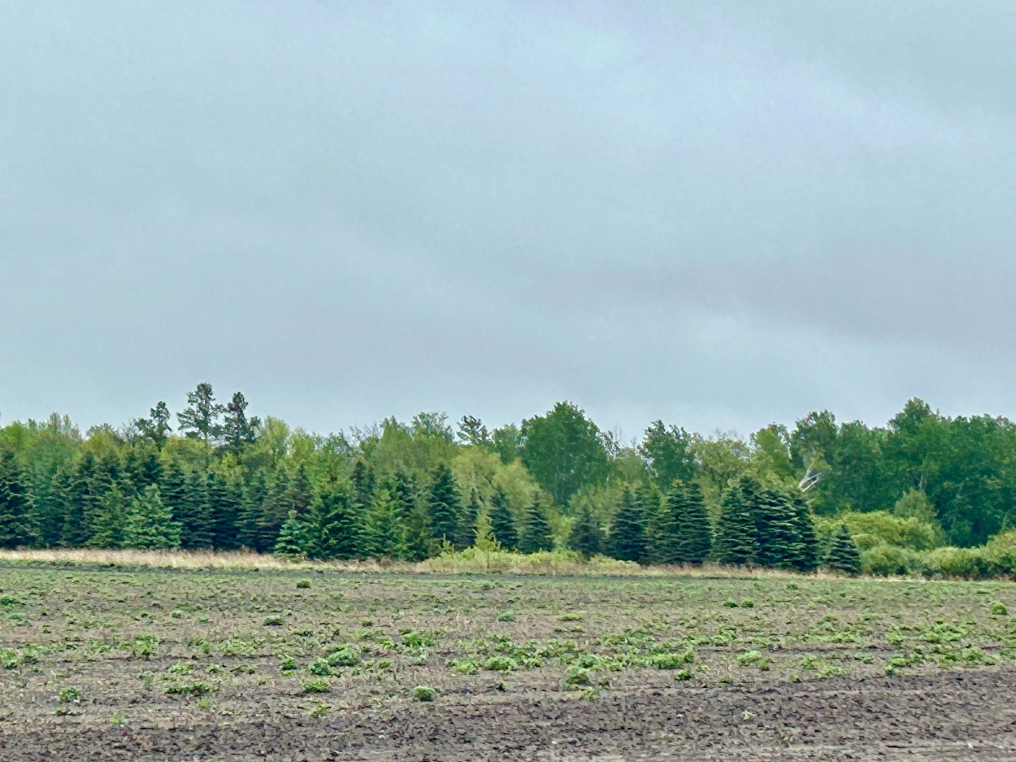 27XXX County Highway 73, Deer Creek, Minnesota image 12