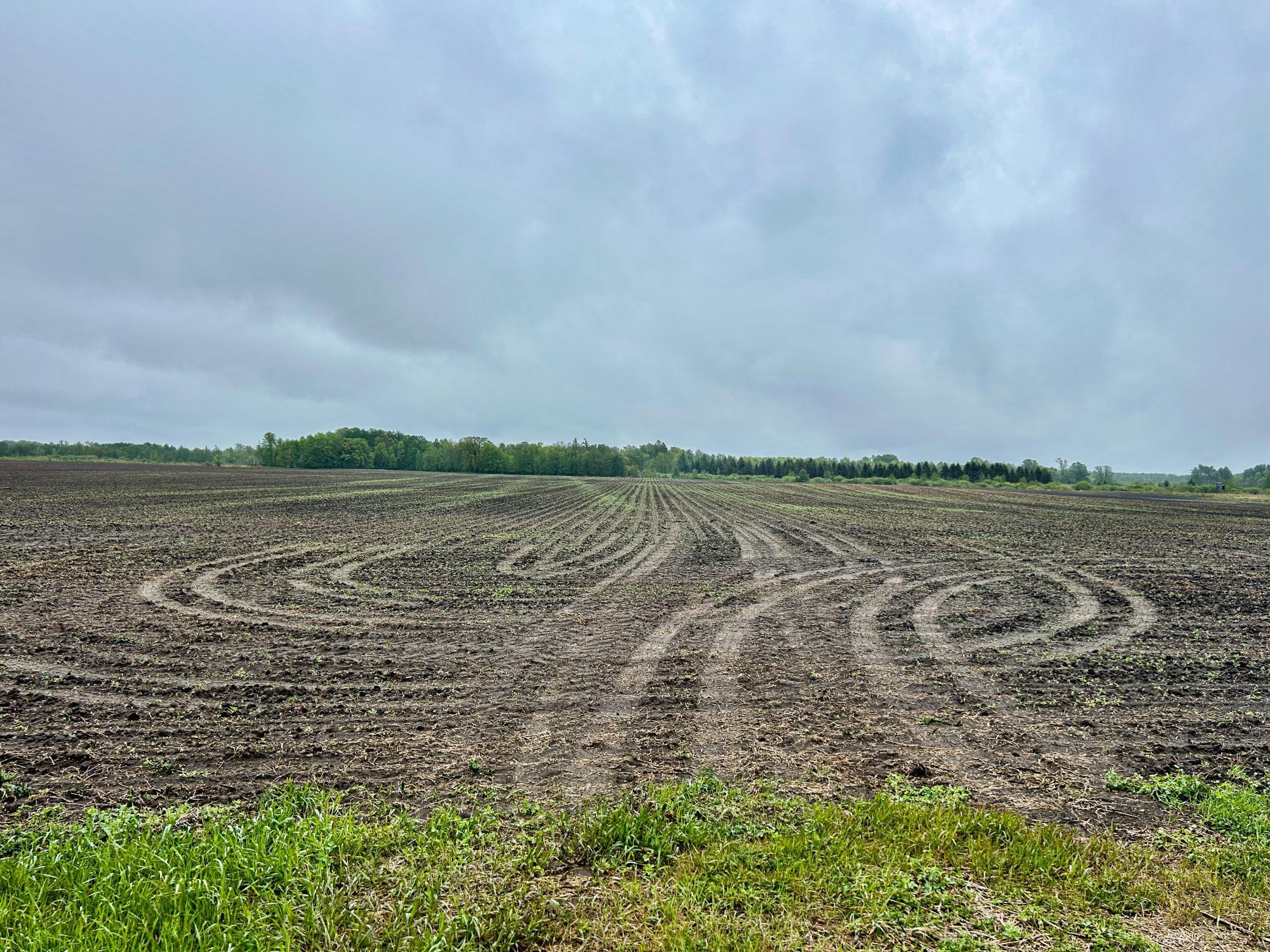 27XXX County Highway 73, Deer Creek, Minnesota image 7