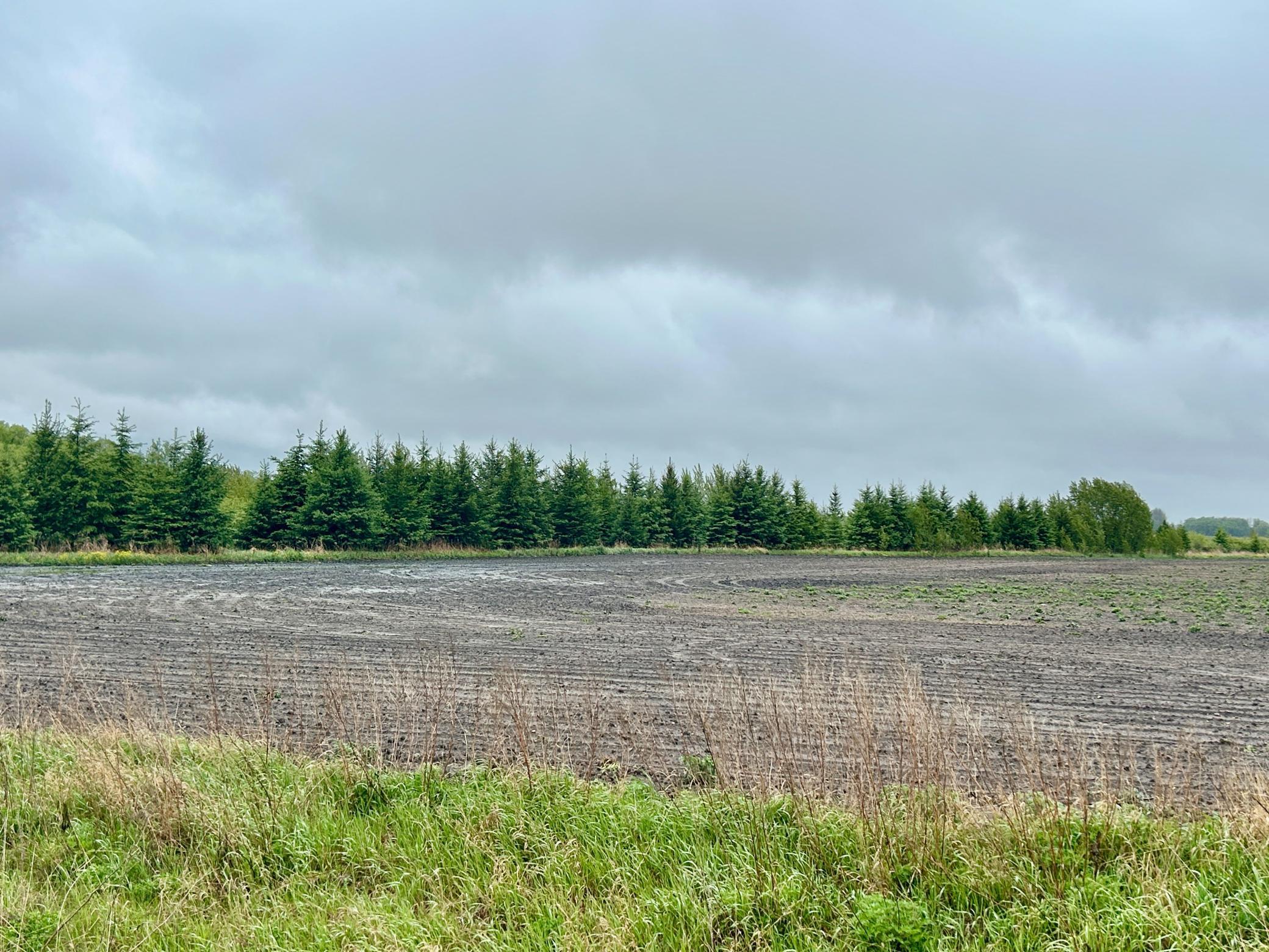 27XXX County Highway 73, Deer Creek, Minnesota image 9