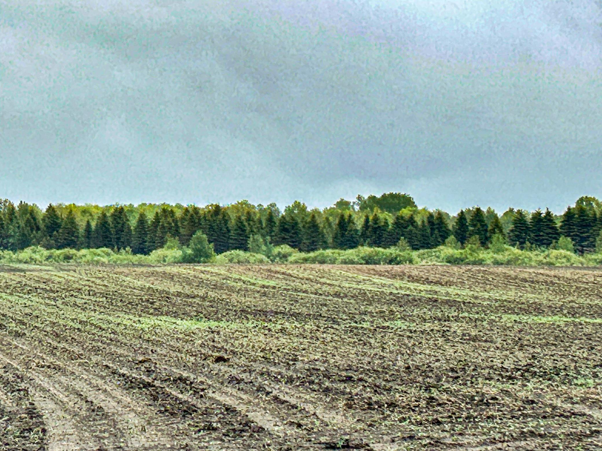 27XXX County Highway 73, Deer Creek, Minnesota image 5