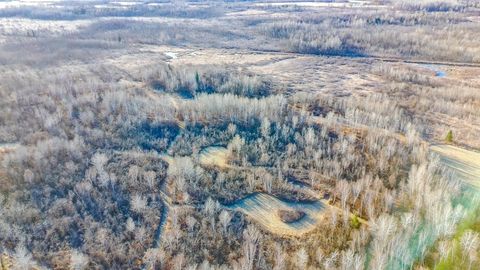 Vacant Land For Sale - 601X Brown Rd<br/> Carlton County, Kettle River, MN 55757