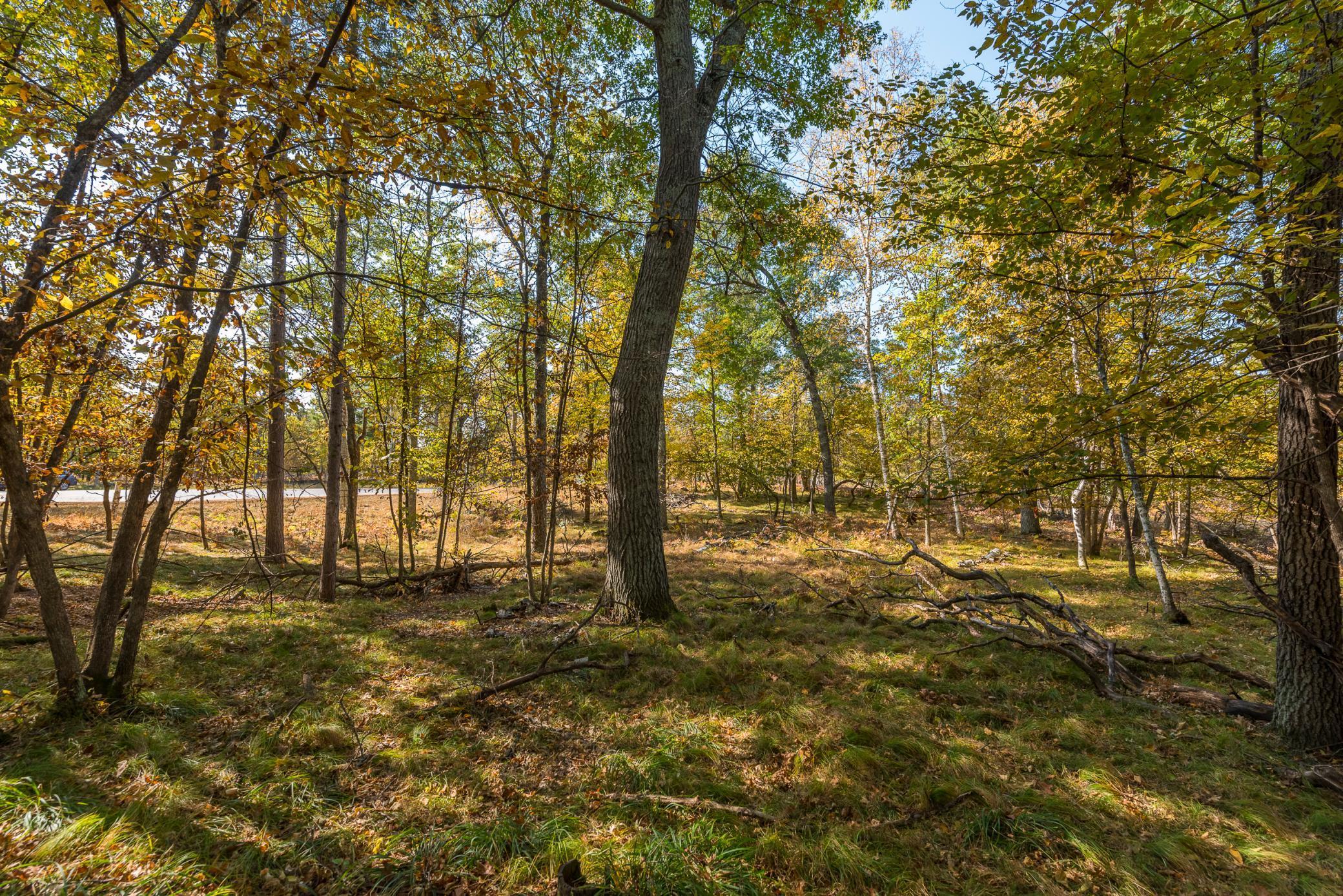 24583 Perrin Pt., Nisswa, Minnesota image 9